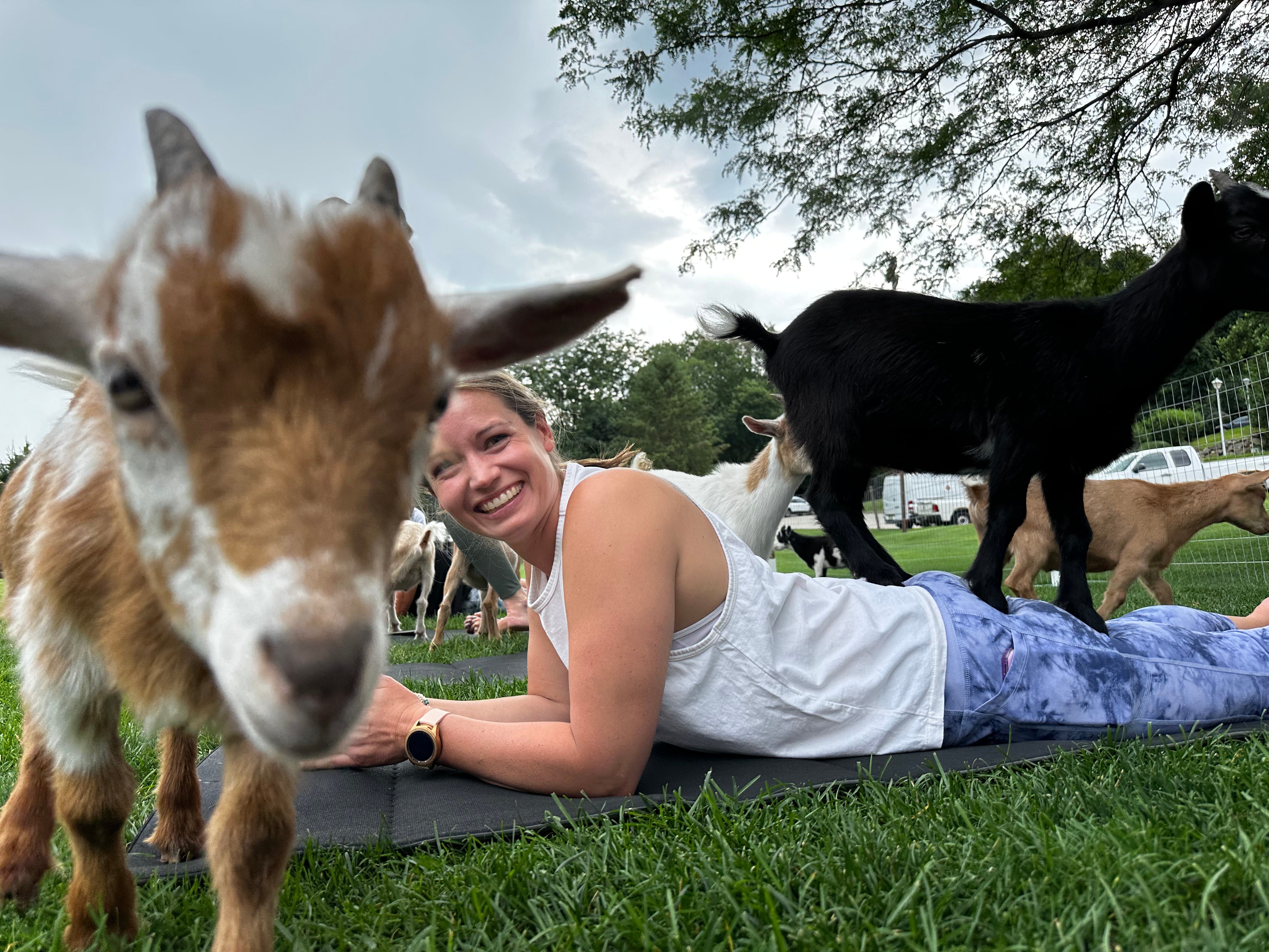 Woman participating in goat yoga. 