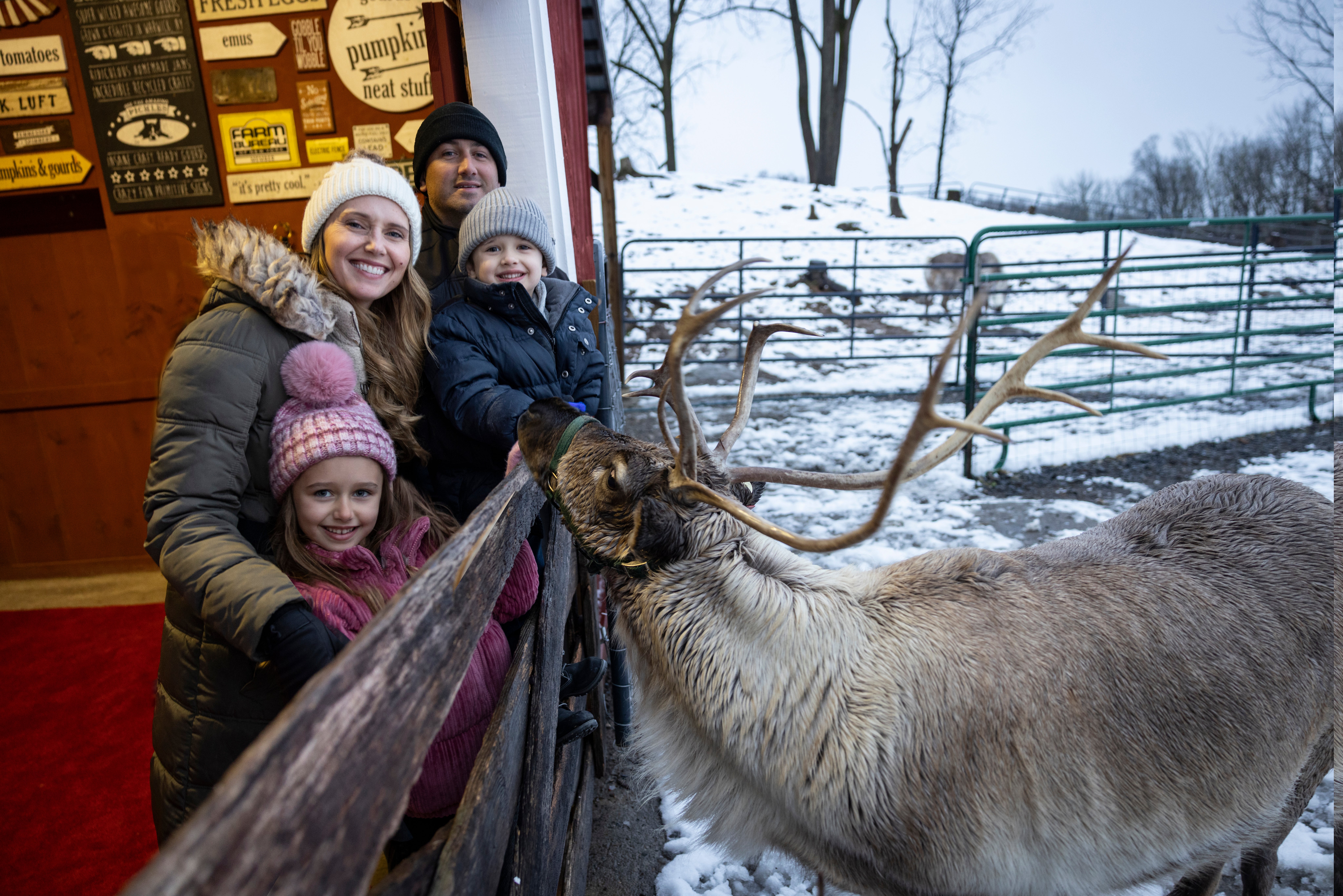 Family posing with reindeer. 