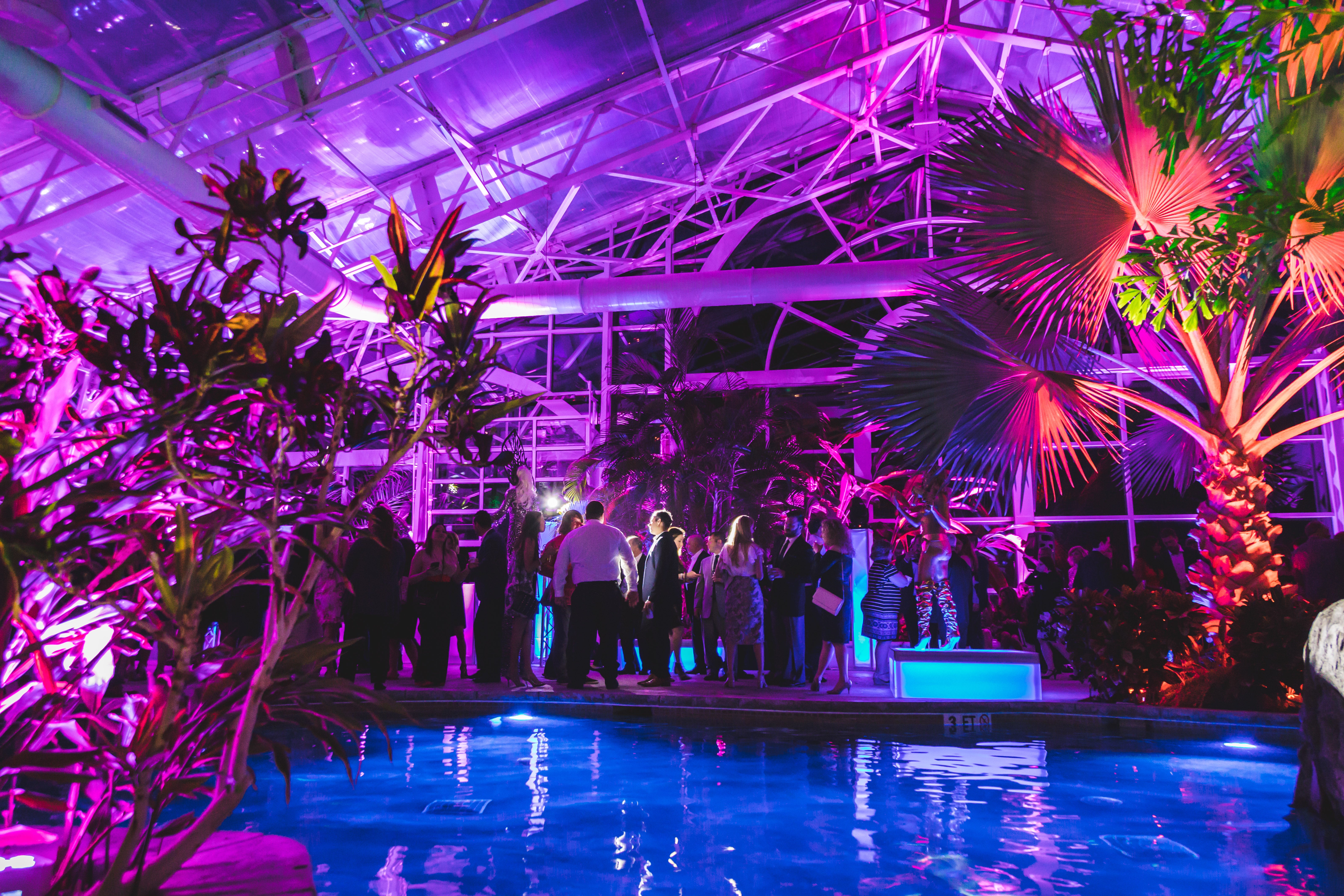 Guests standing around Biosphere Pool during party. 