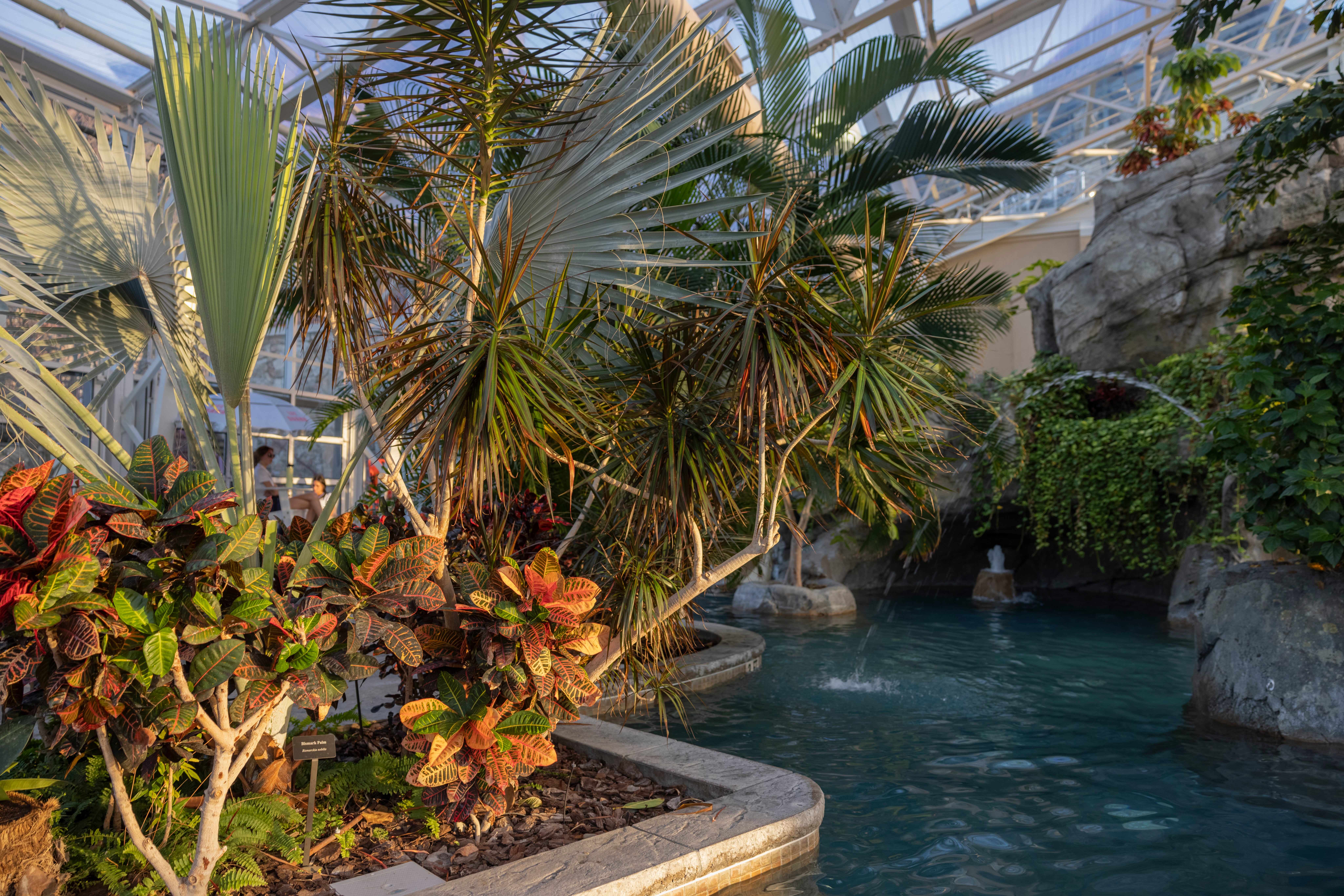 Biosphere pool complex.