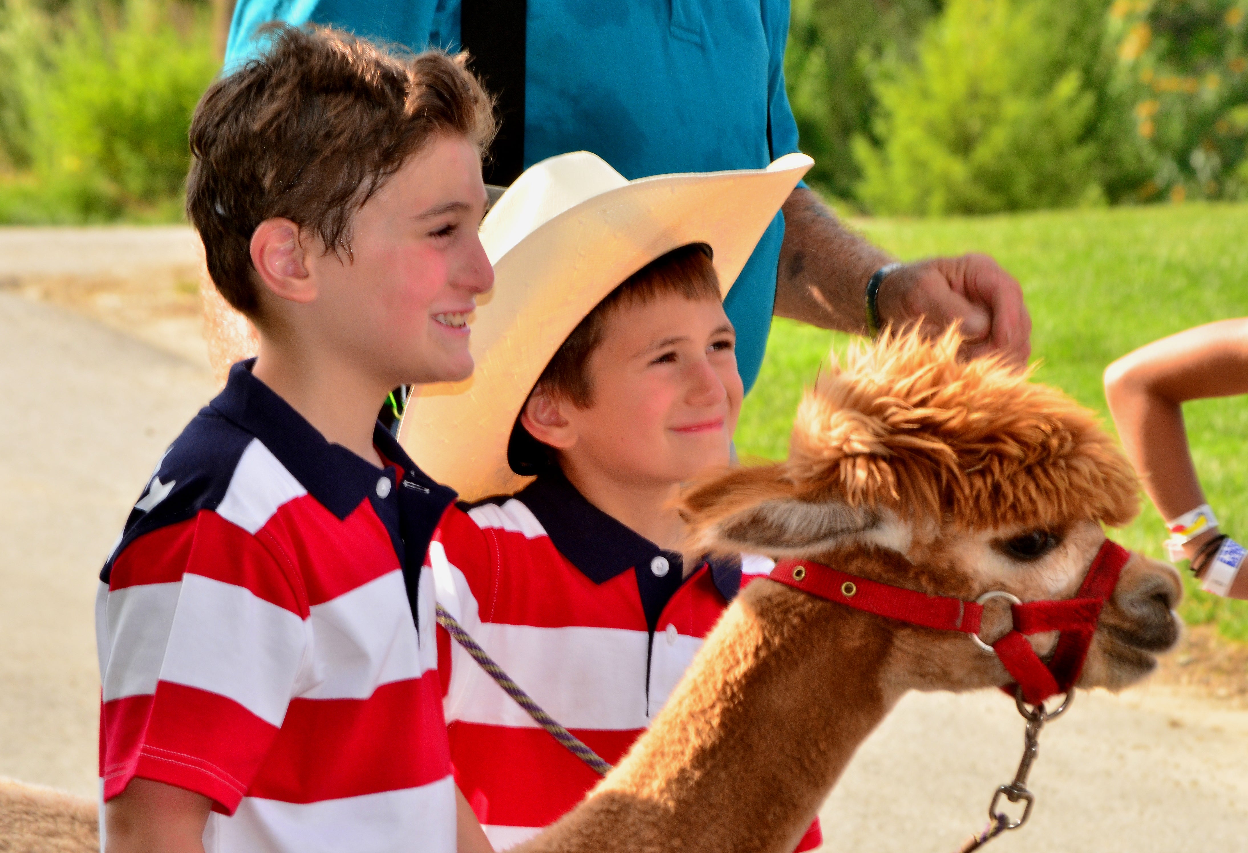 Two children stand with an alpaca.
