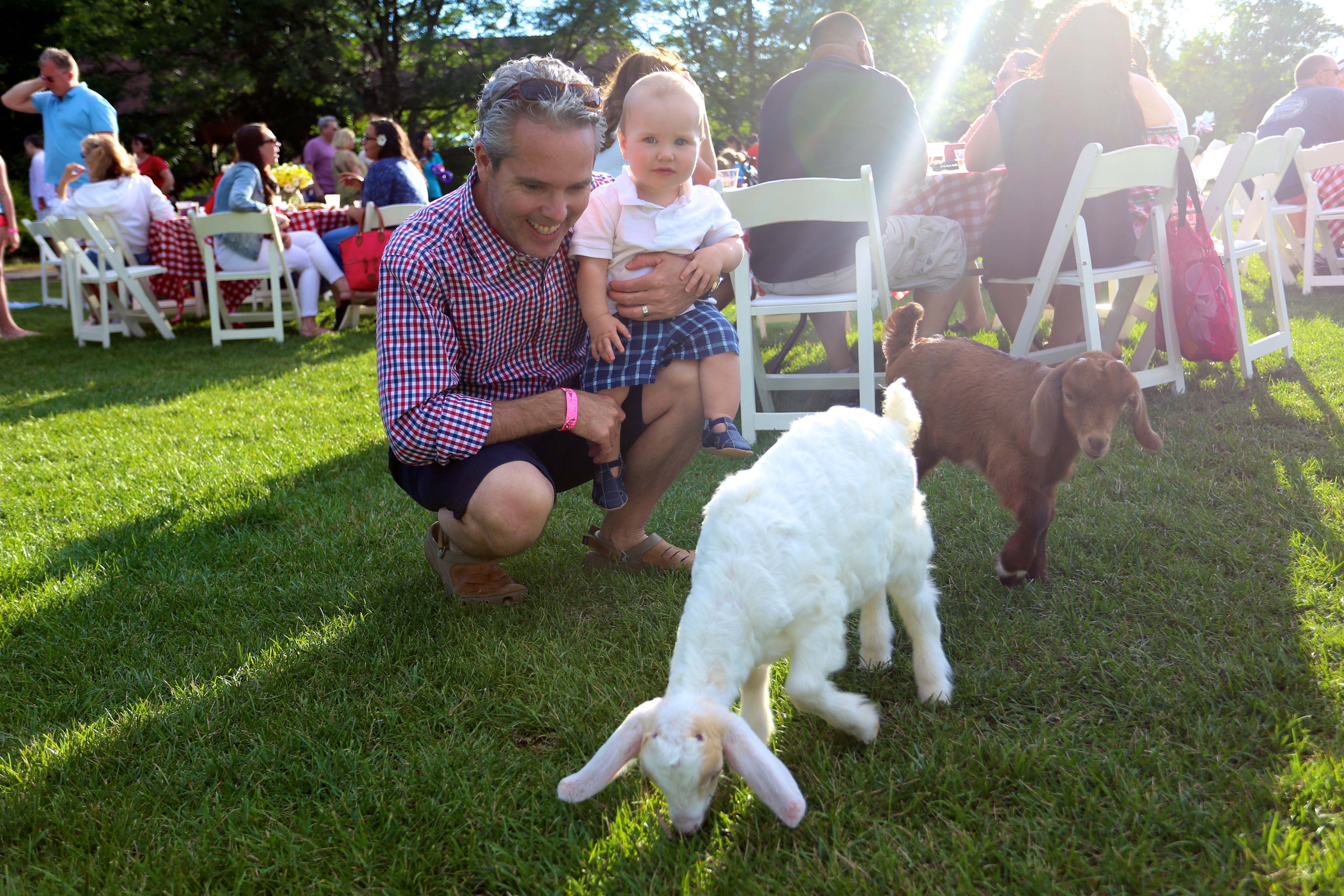 Man and child pet goats.