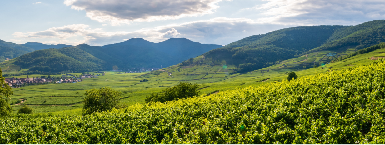 Landscape of France