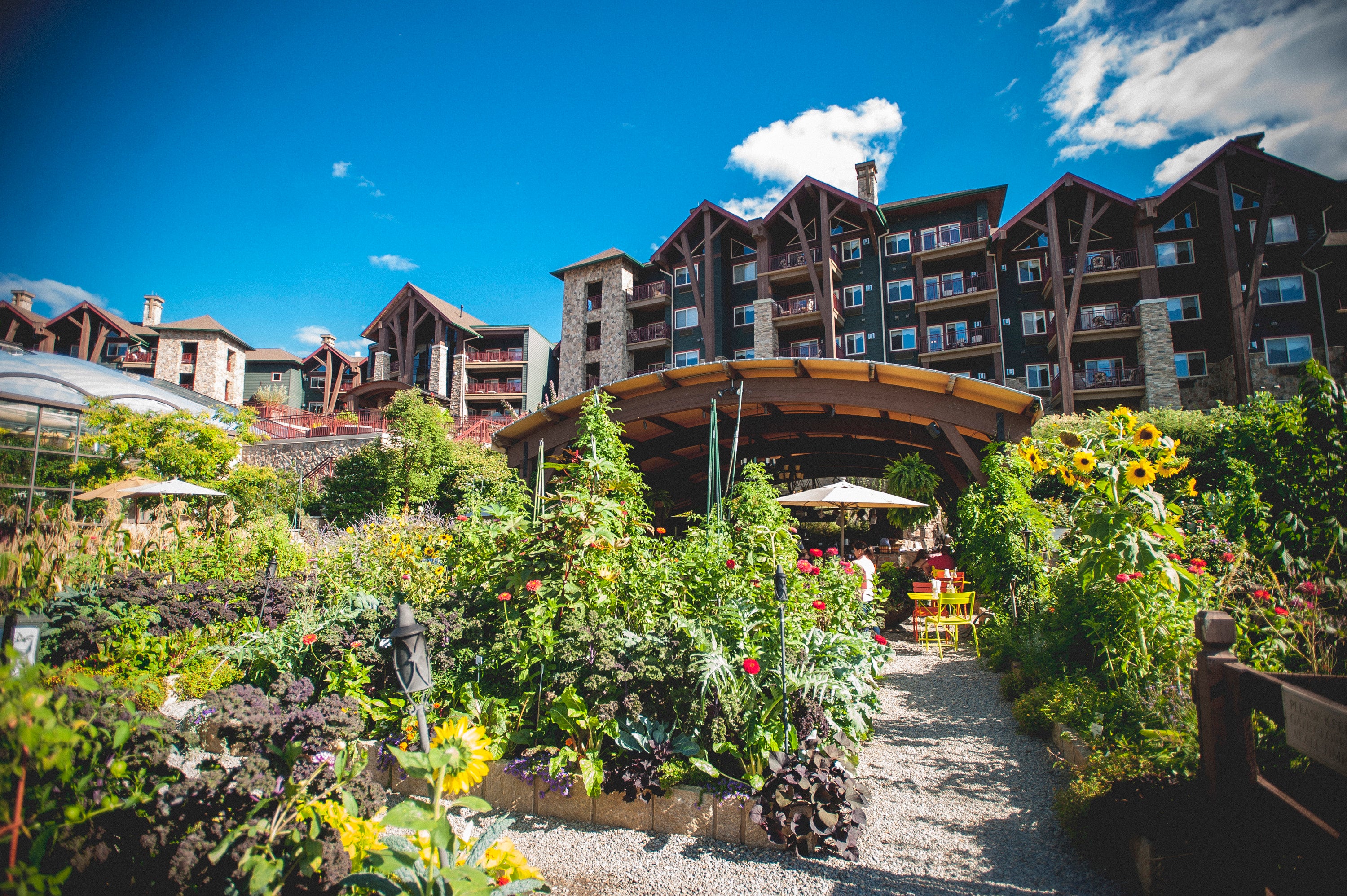 Chef's Garden behind Grand Cascades Lodge.