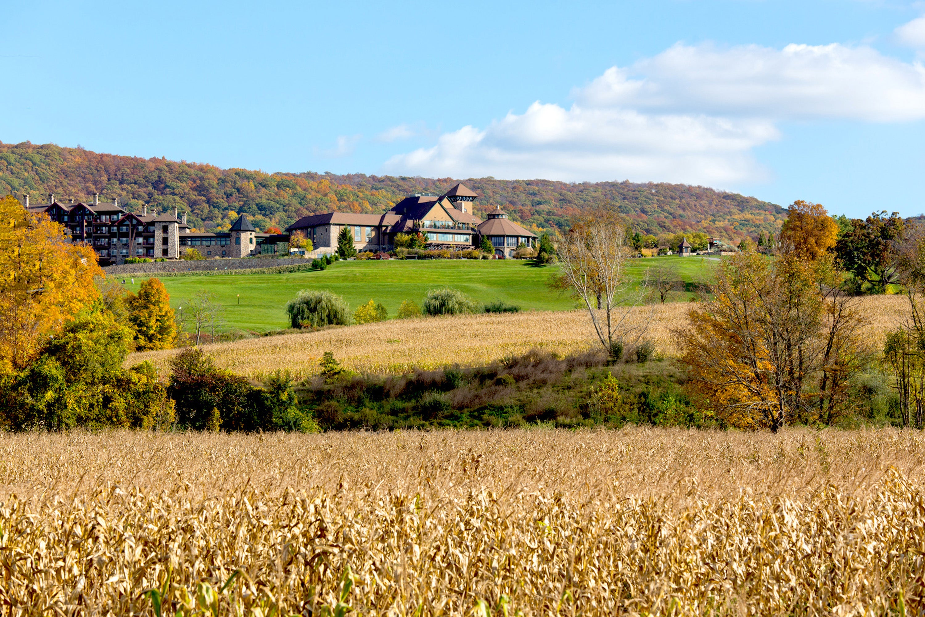 Cornfield in front of Crystal Springs Country Club during the fall