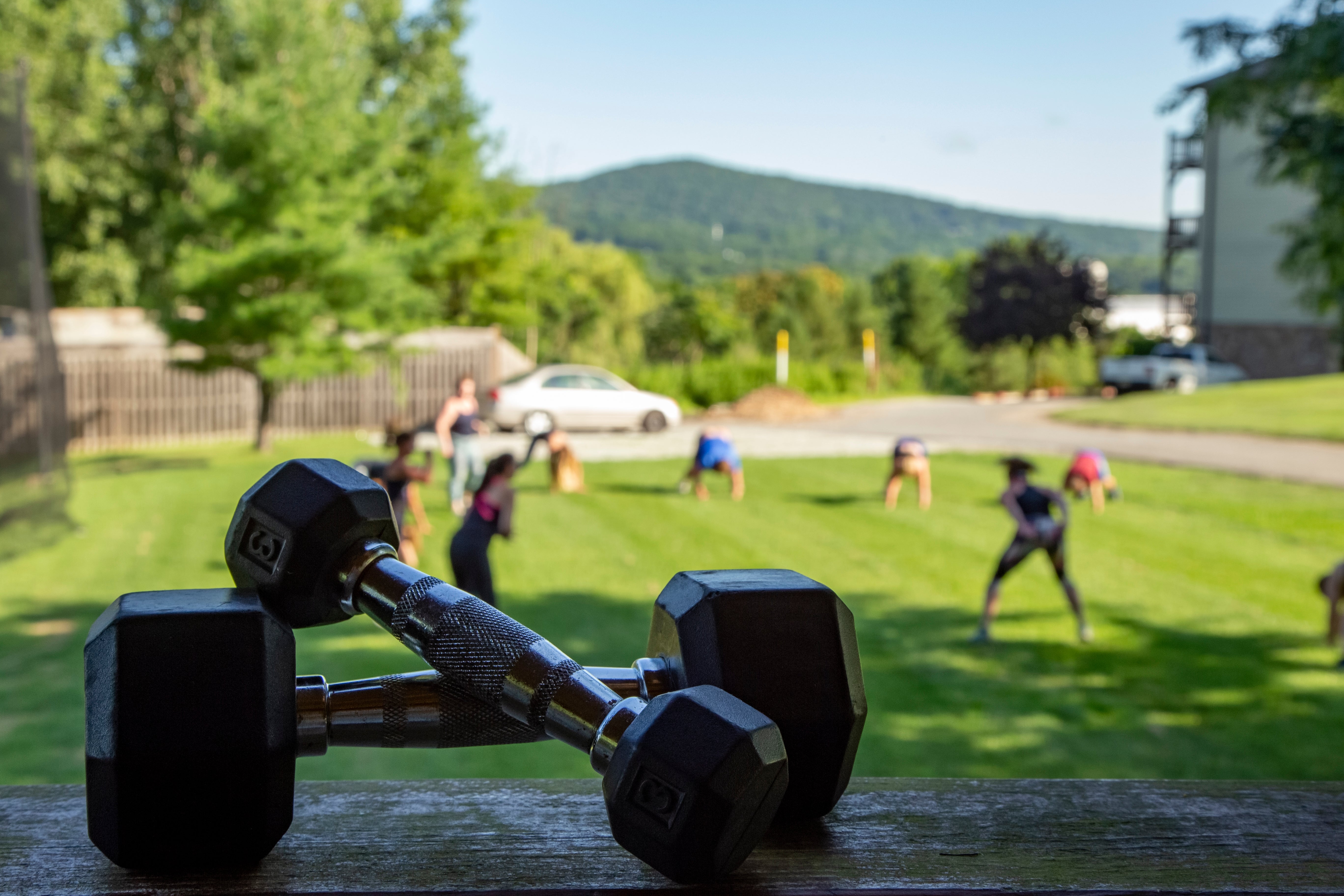 Close up of dumbbells with people working out in background.