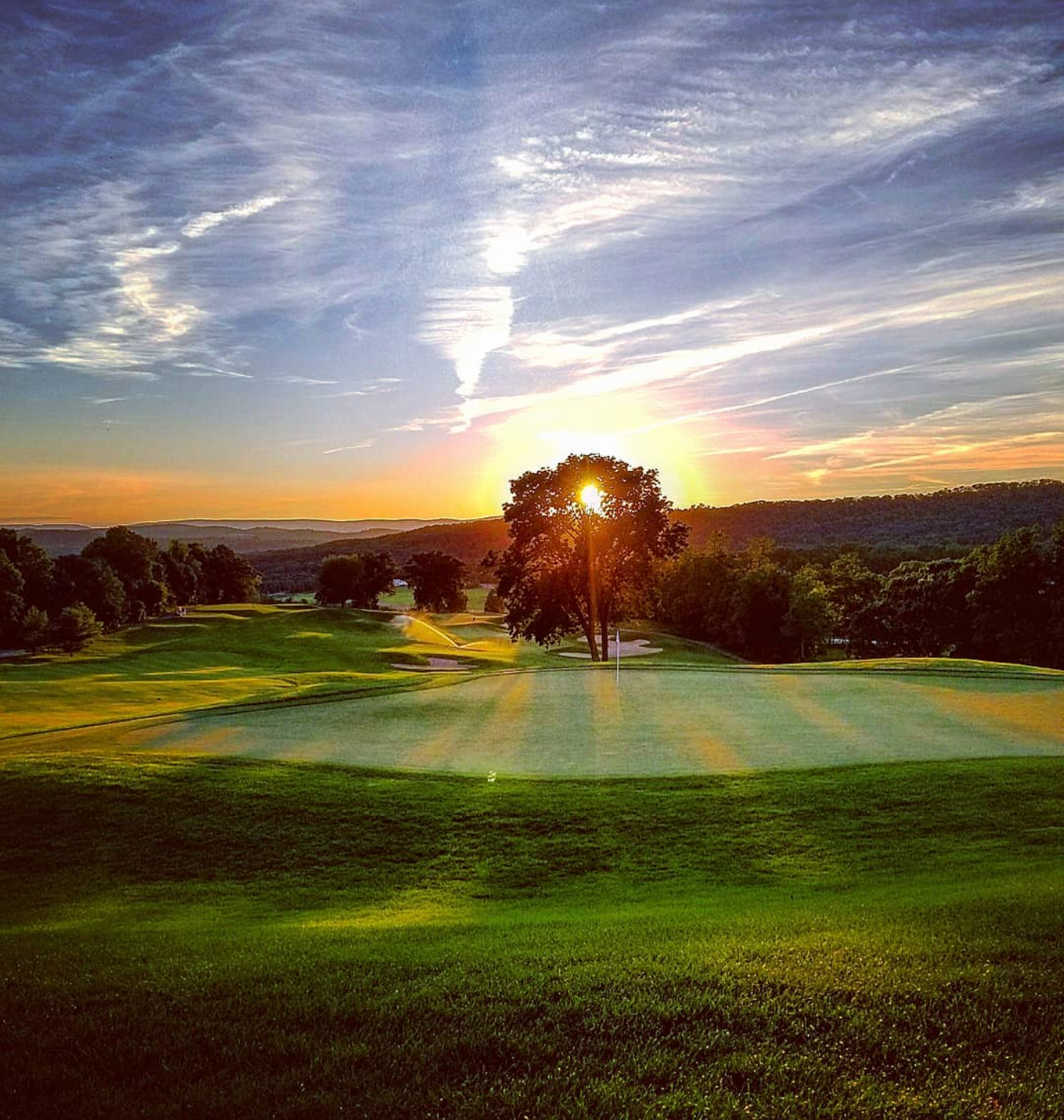 A sunset through a tree at the Black Bear golf course at Crystal Springs Resort