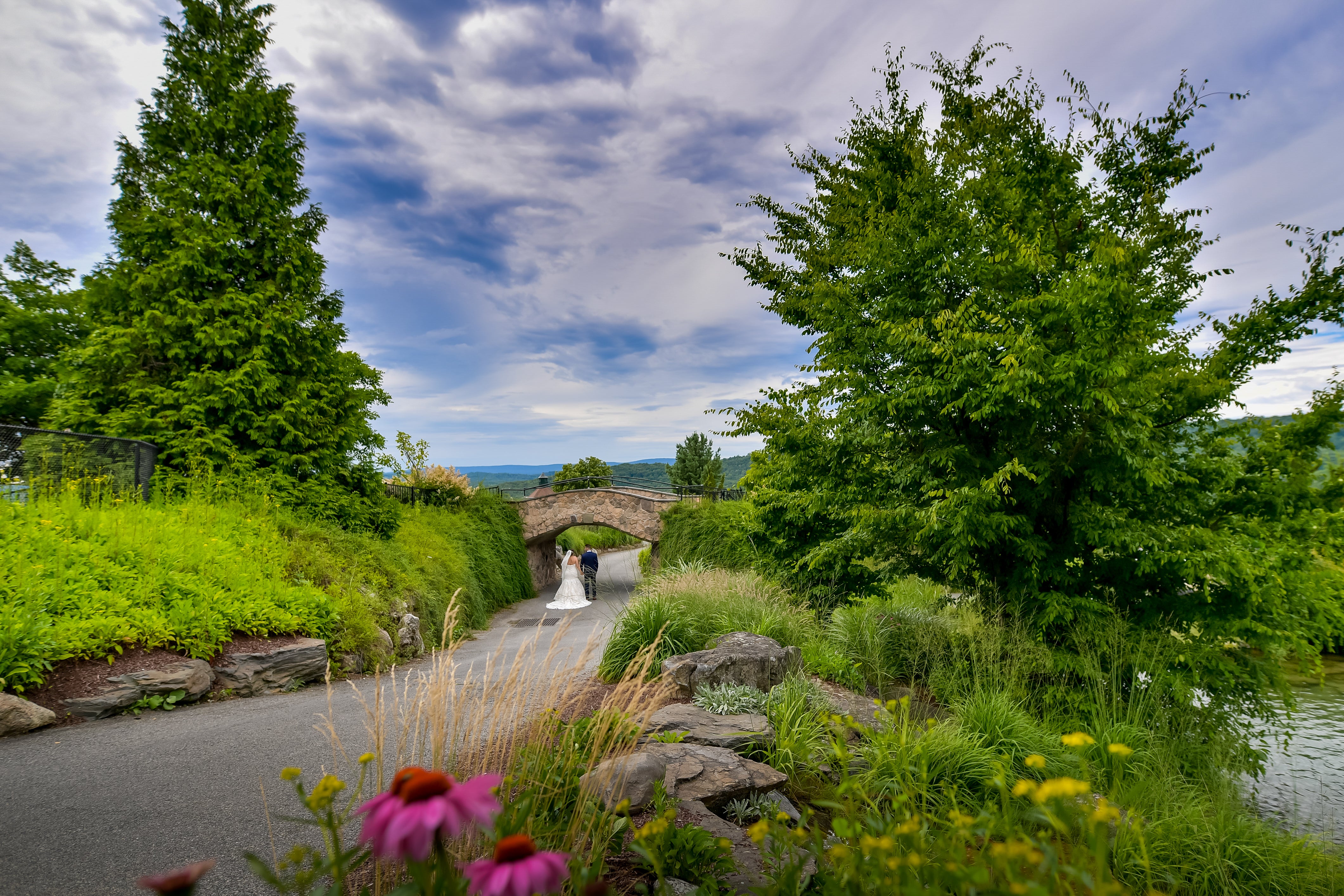 Bride and groom walk amongst green foliage.