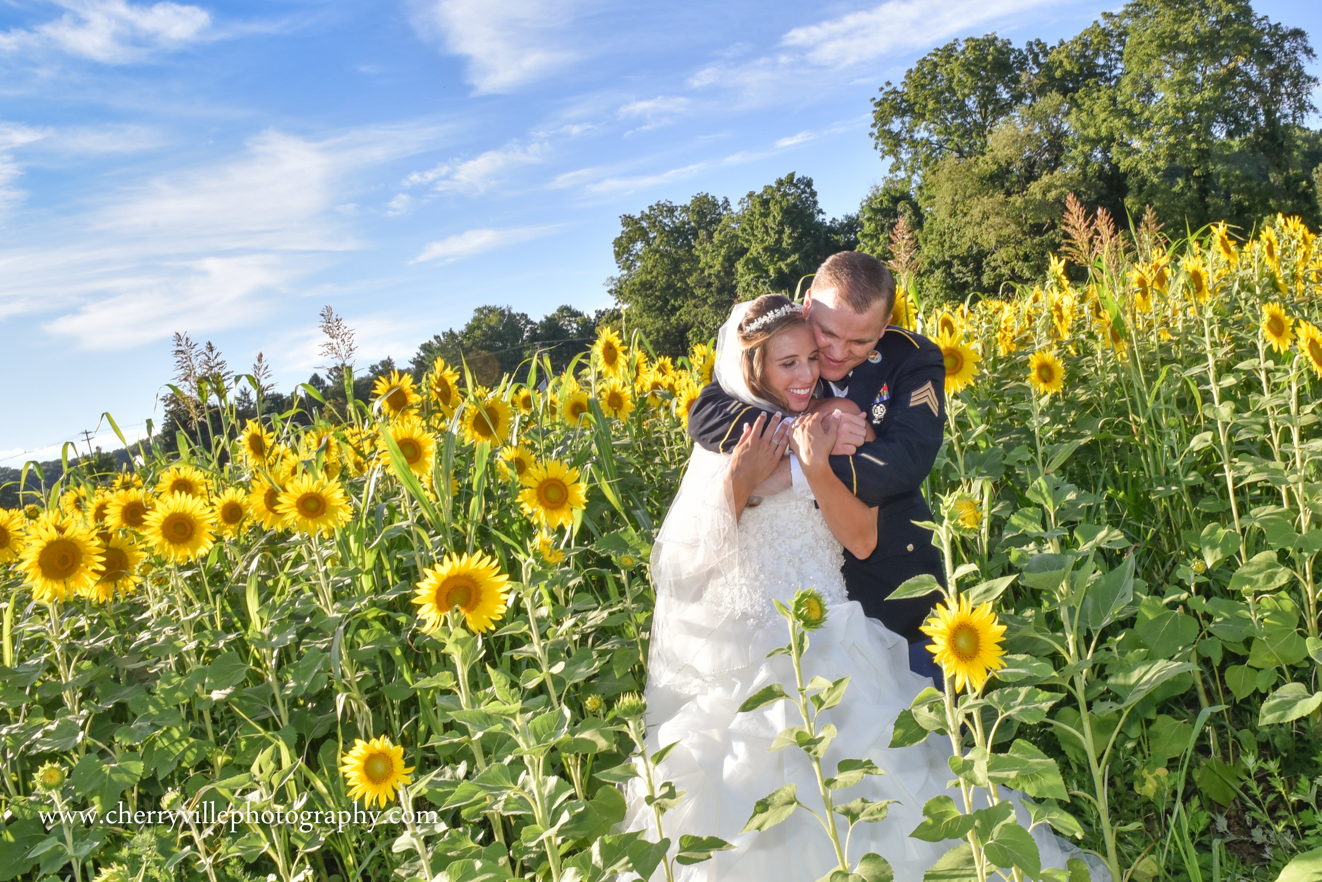 Bride and groom in the sunflower fields