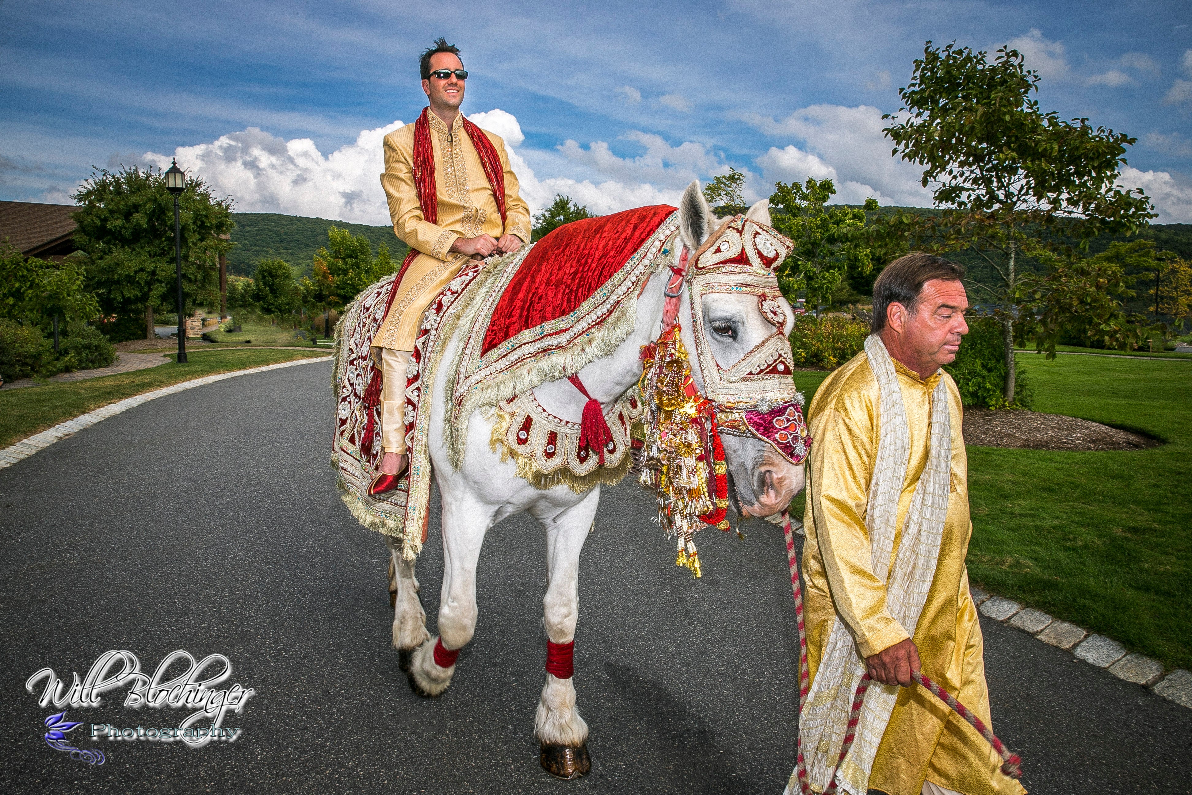 Indian wedding groom riding on white horse with beautiful decorations
