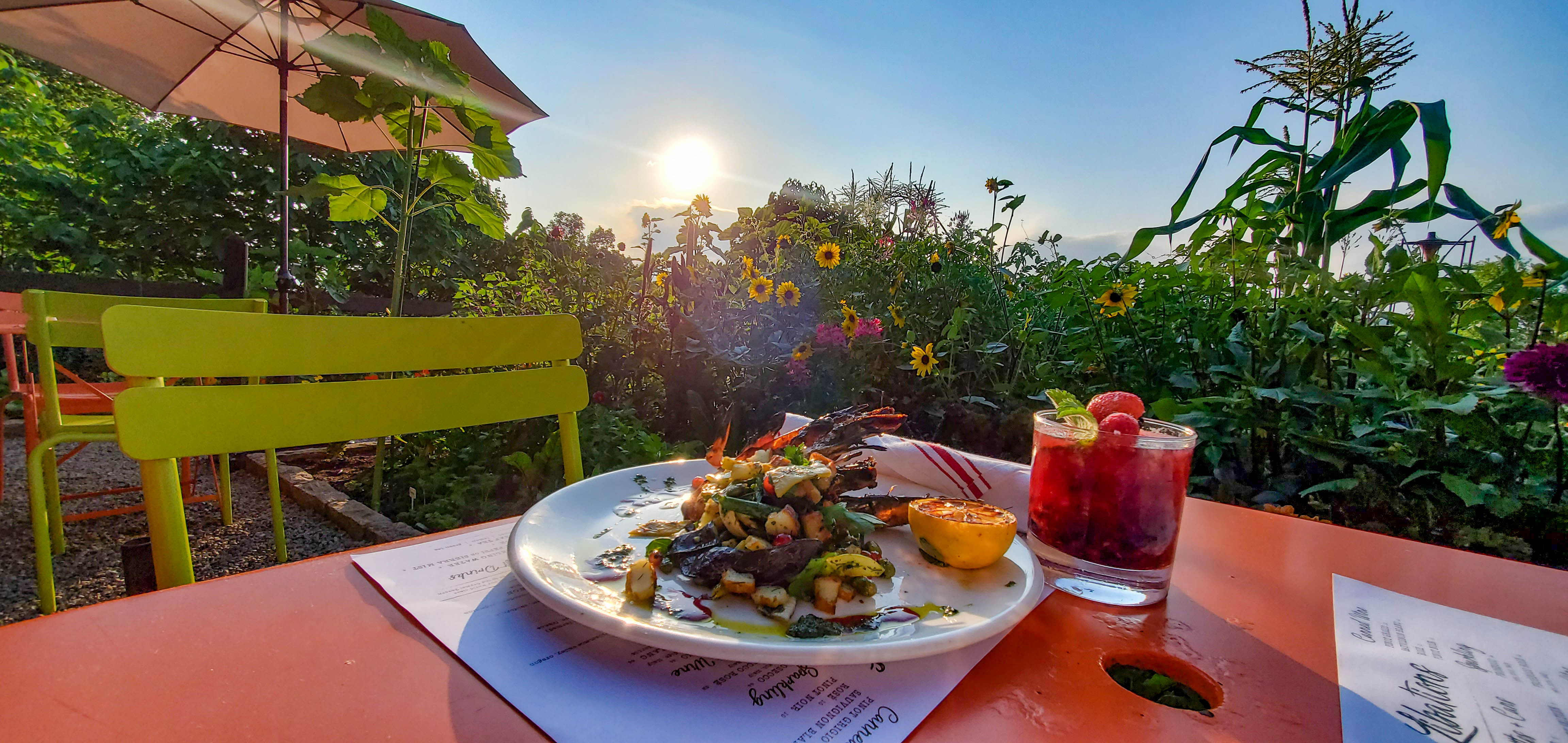 Chef's Garden Colorful &amp; Organic Dish