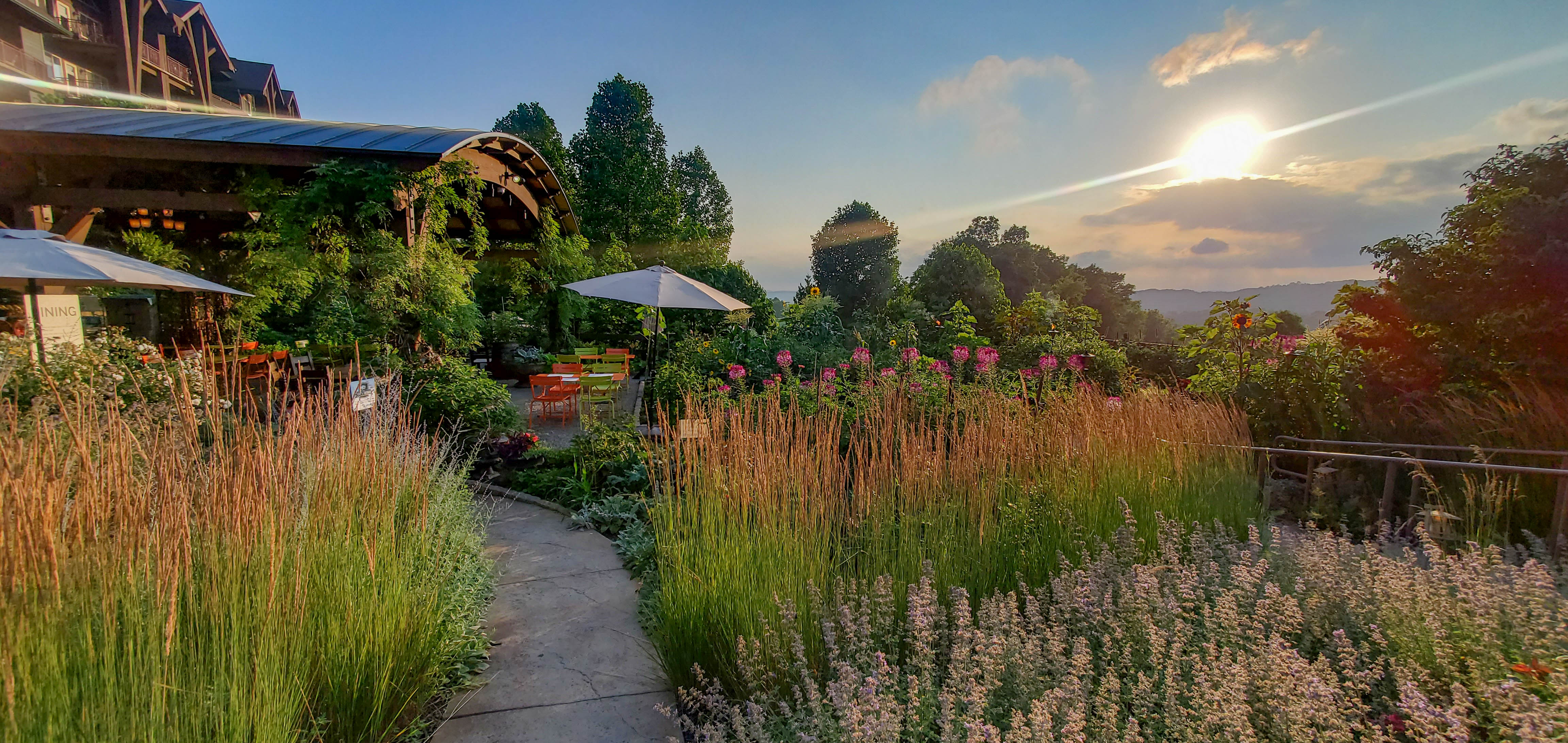 Beautiful View of the Chef's Garden