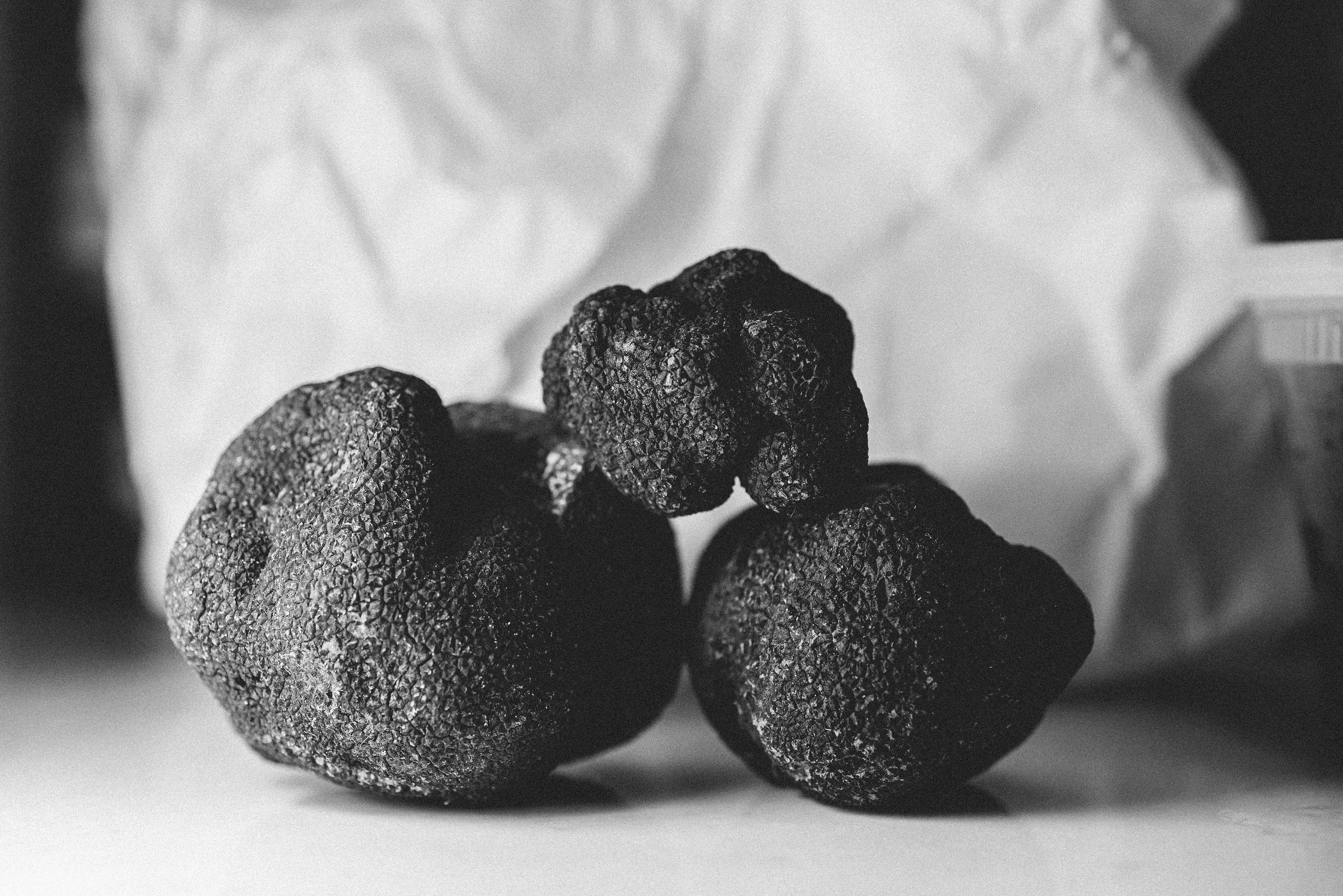 Large black truffles