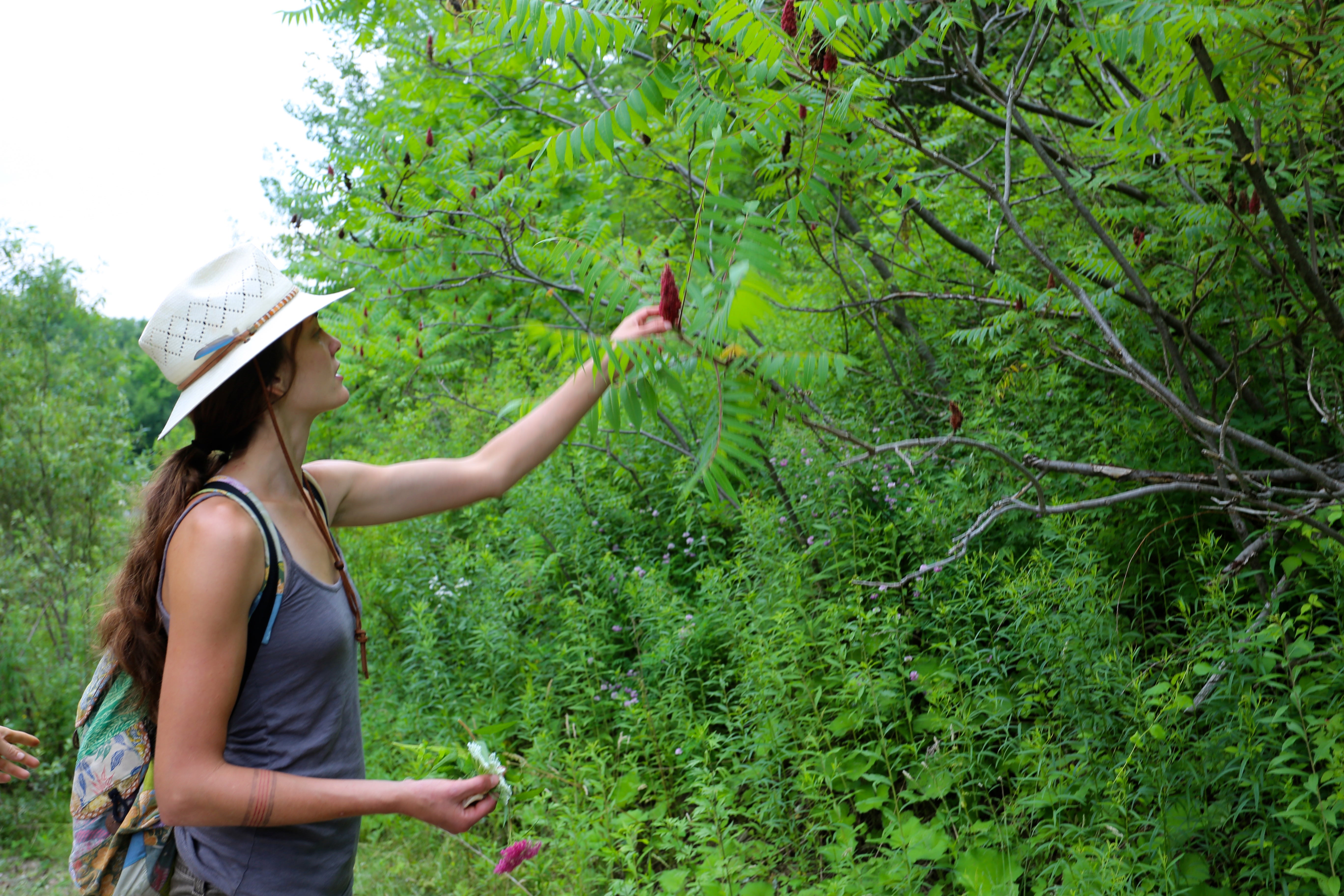 Nature Observation Walk