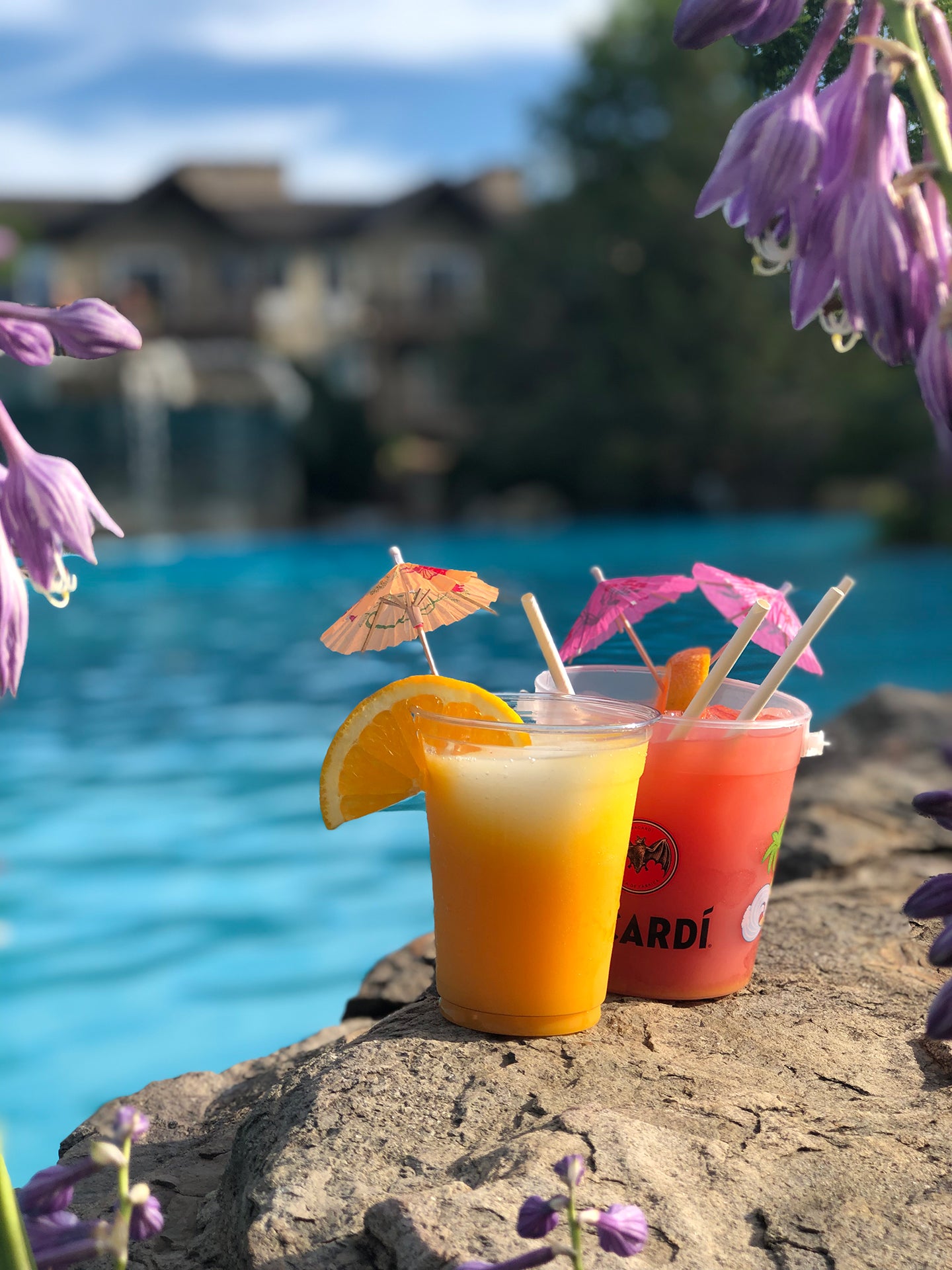 Rum buckets poolside at Minerals Hotel