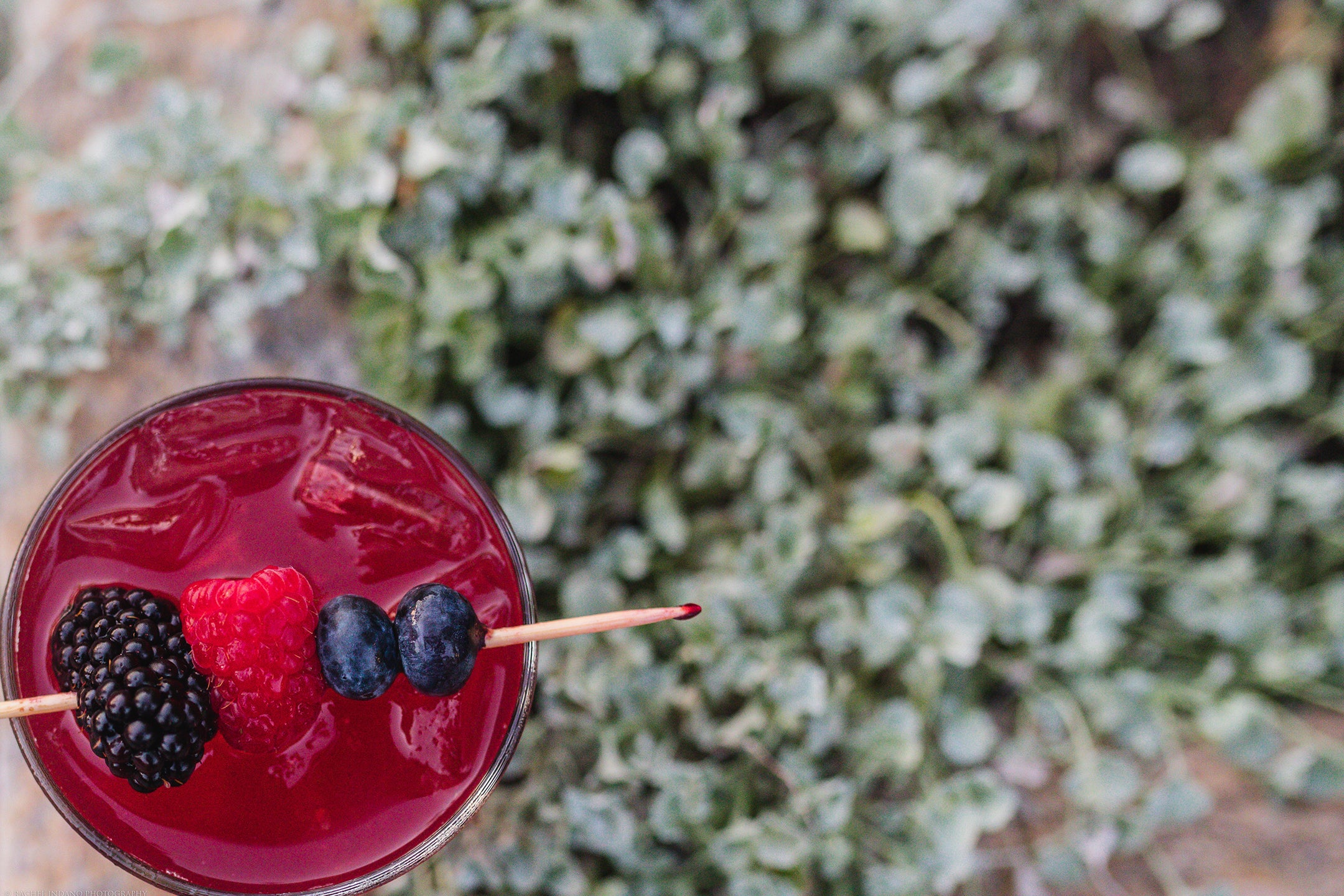 Chef's Garden Berry Libation