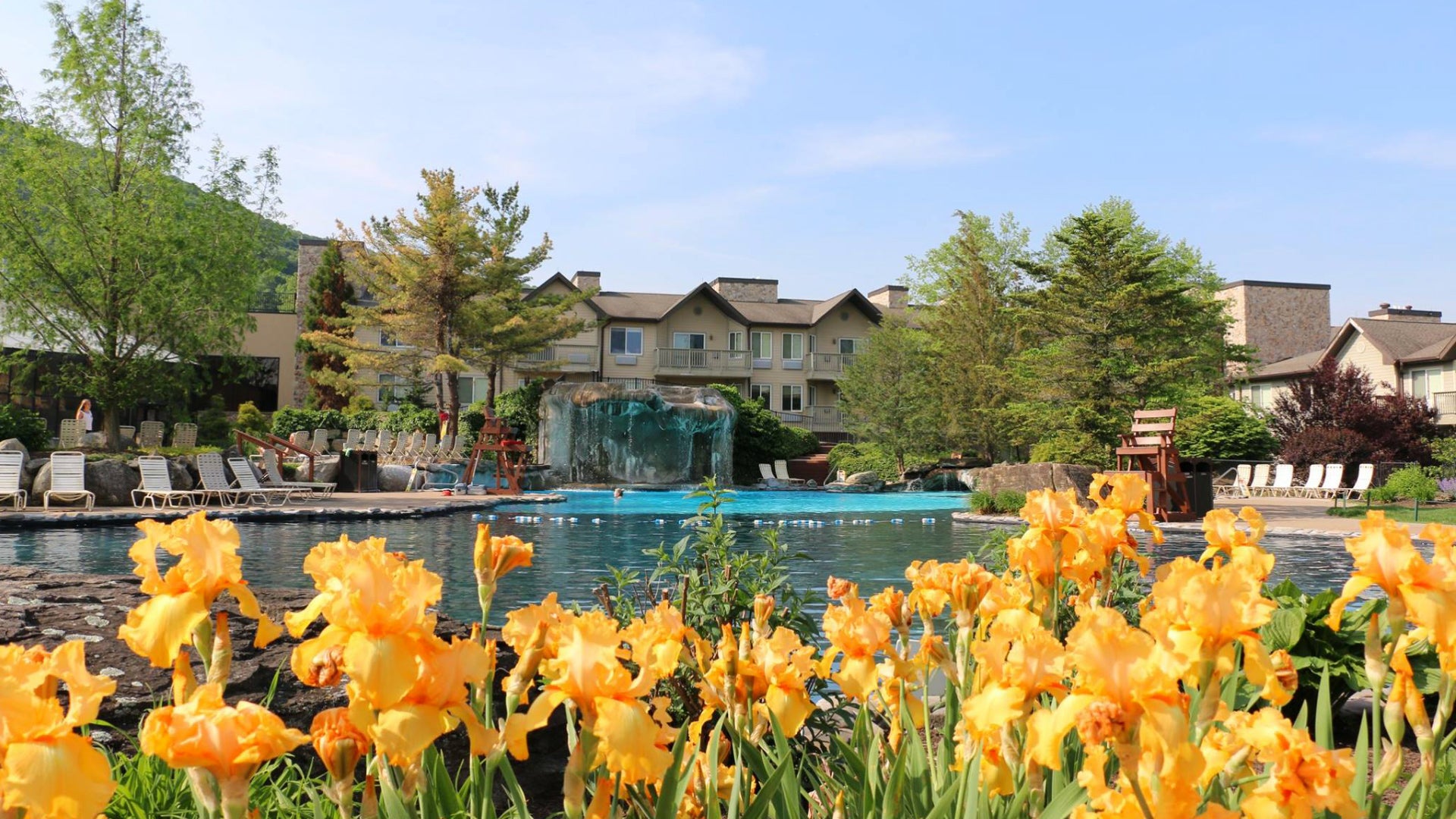 Beautiful orange flowers at Minerals Hotel pool