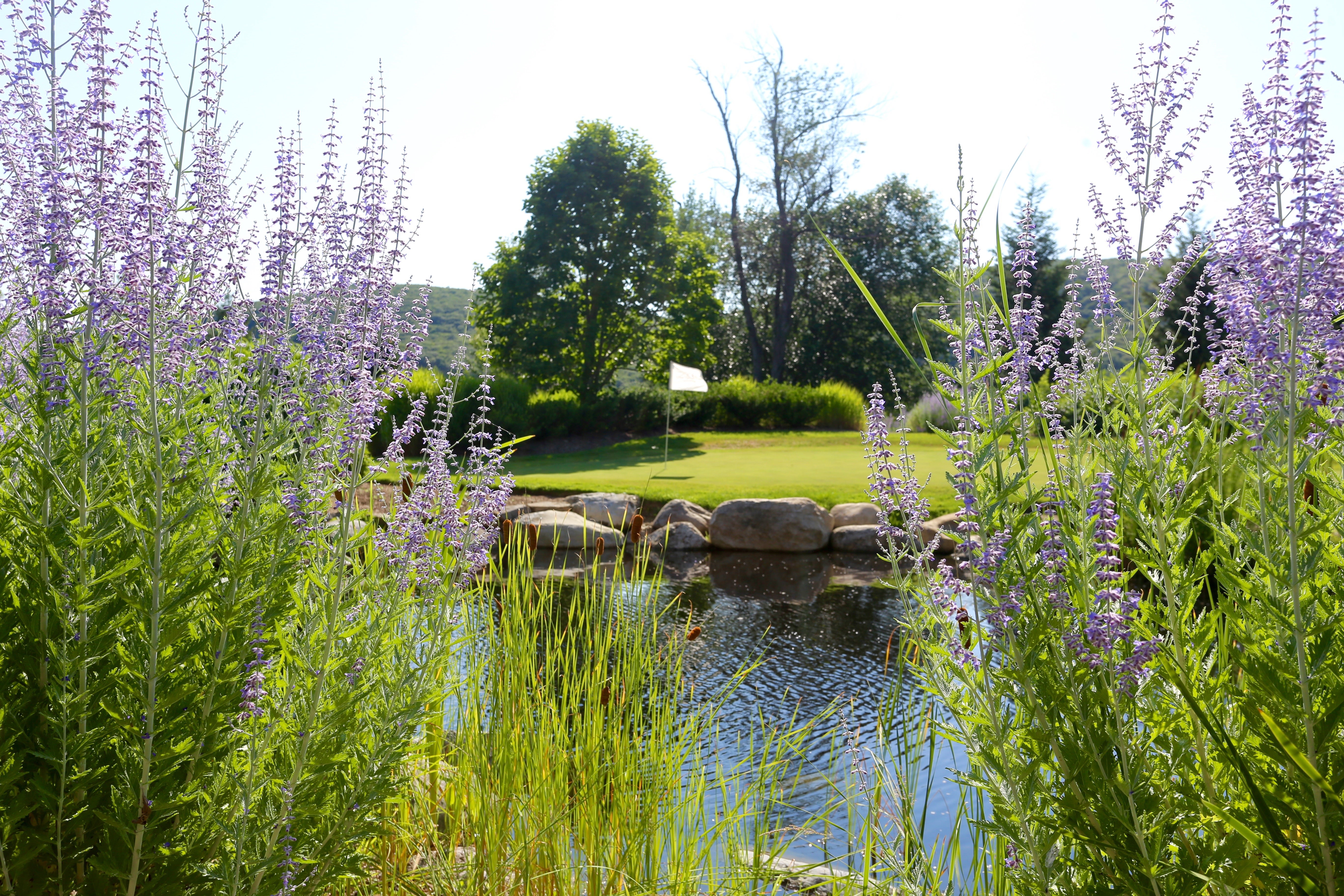 Flowers along the putting course at Grand Cascades Lodge