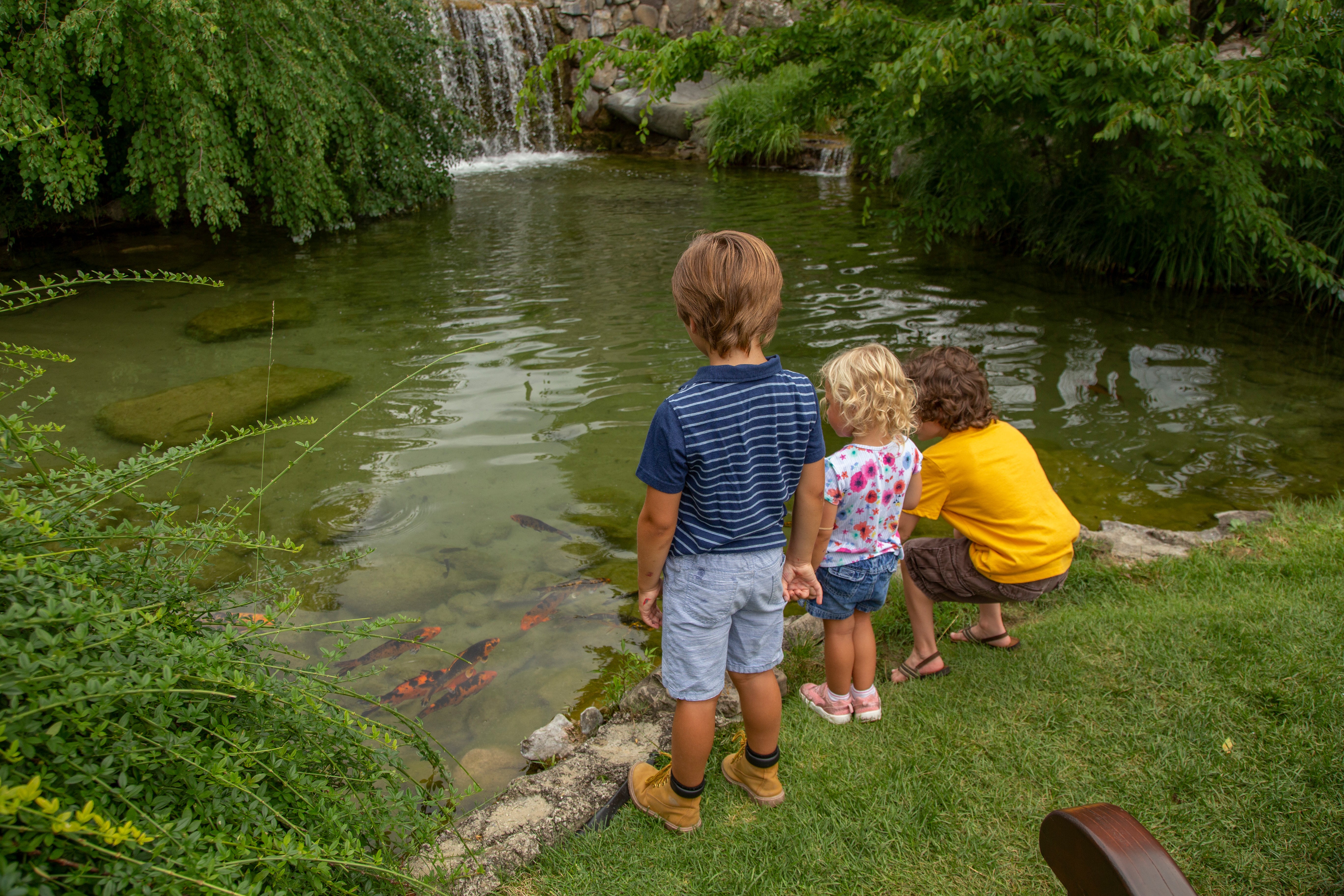 Children at Koi Pond