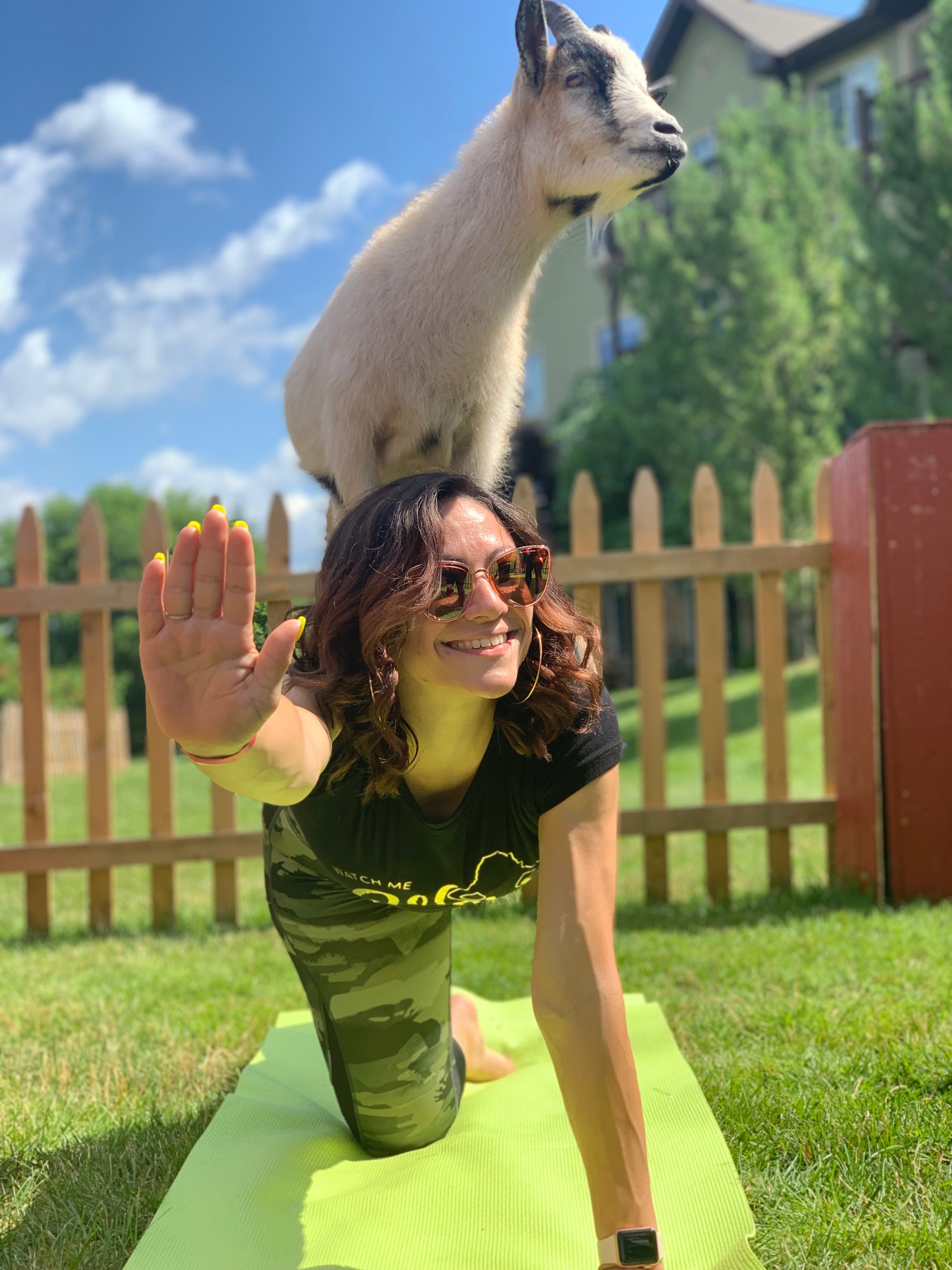 Woman doing yoga pose with goat on her back