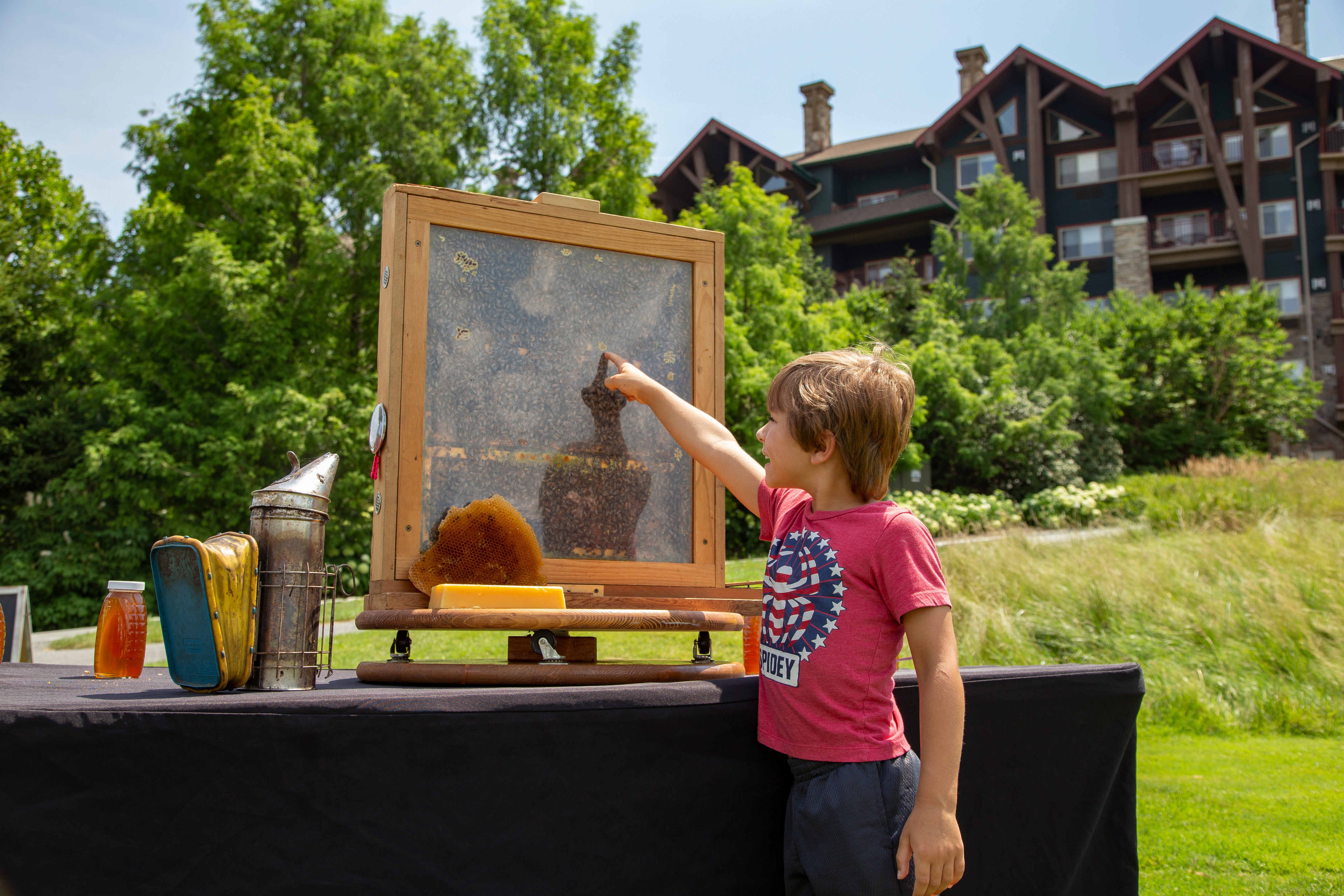 Young child pointing at beehive.