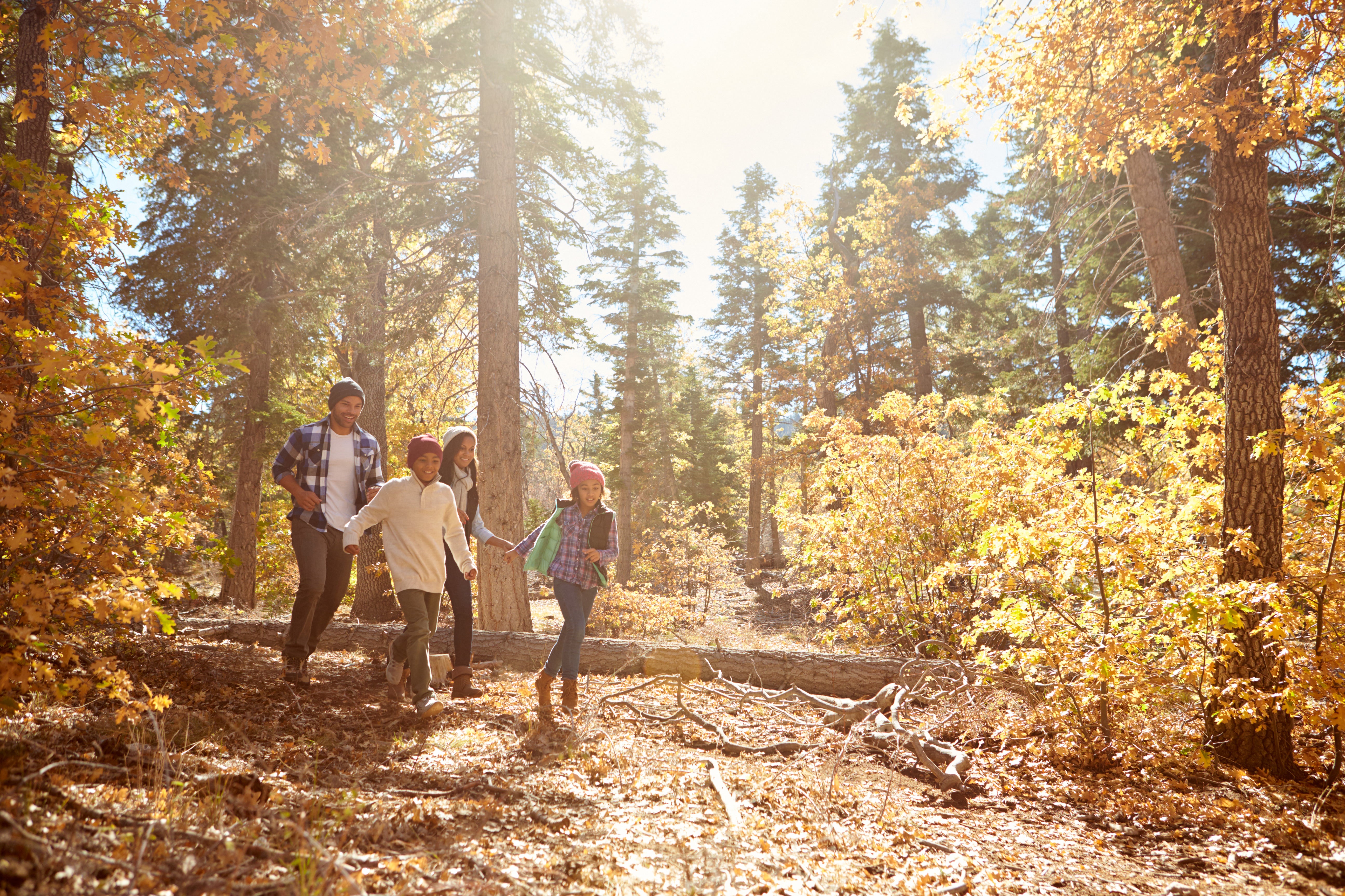 Family Hike in Fall.