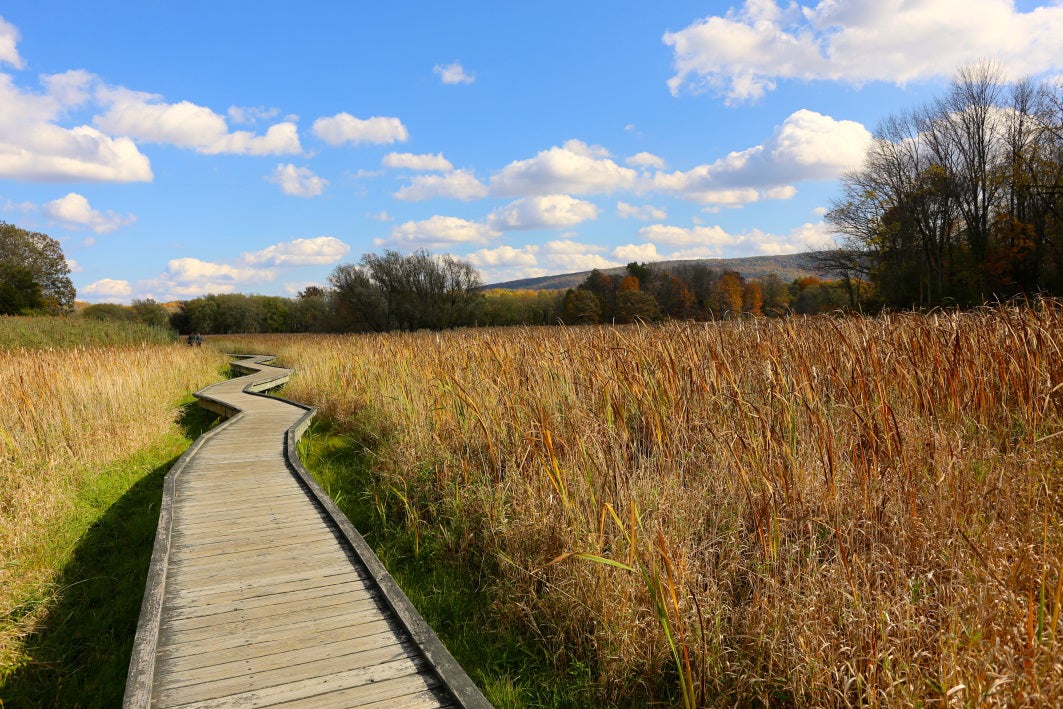 Appalachian Trail in fall