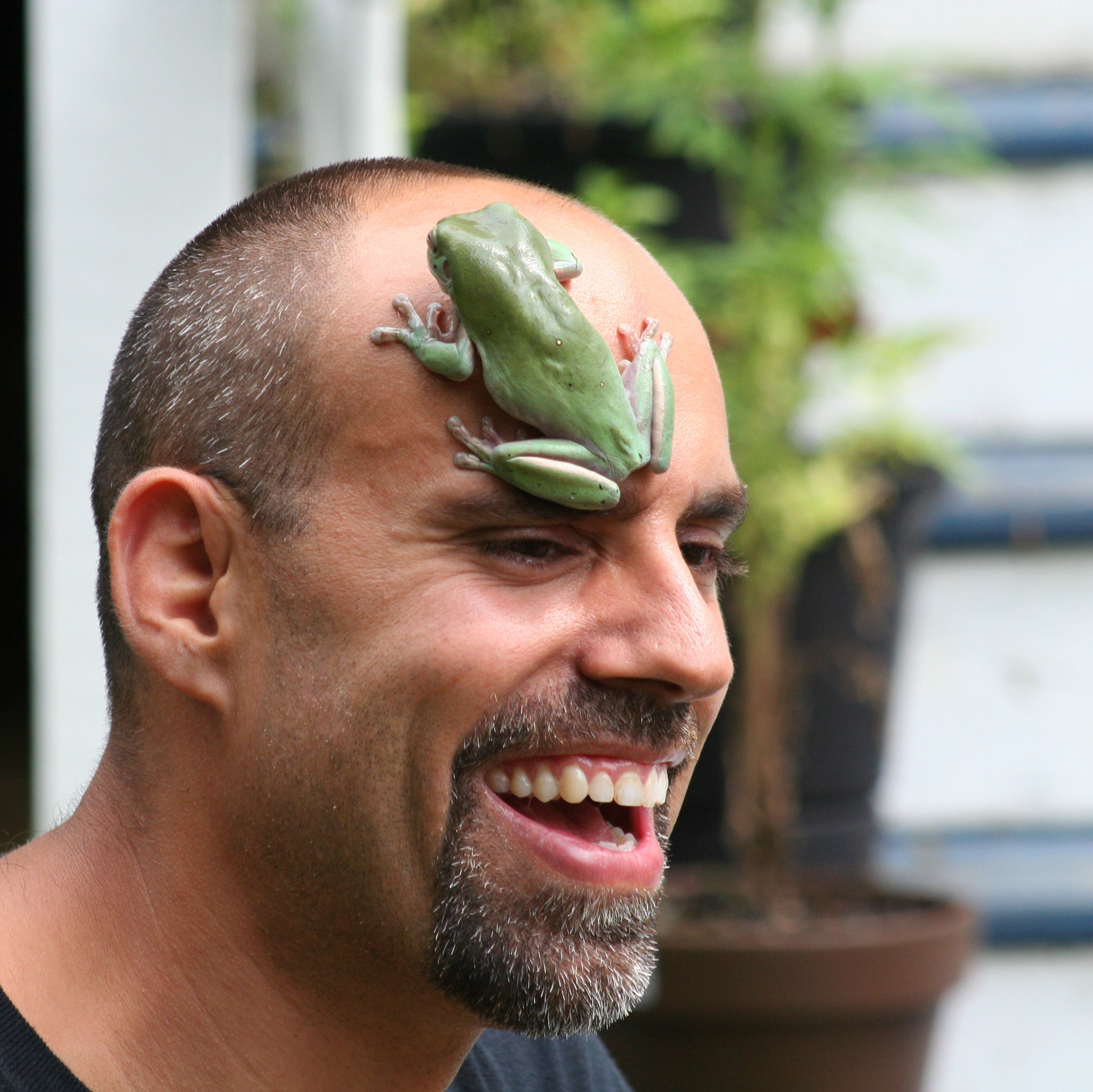 Man with green frog on his forehead.