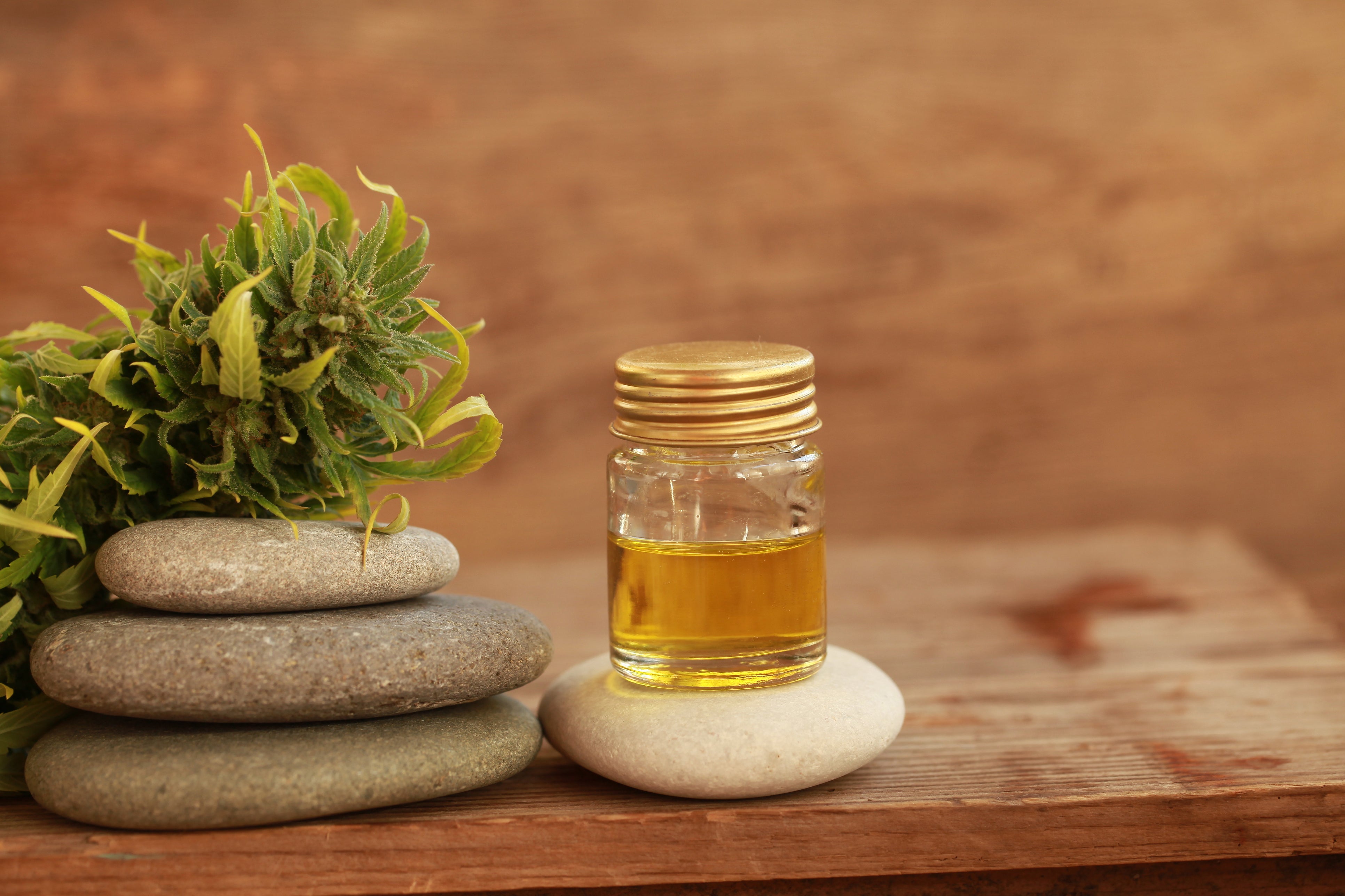 CBD oil in a jar on top of a rock.
