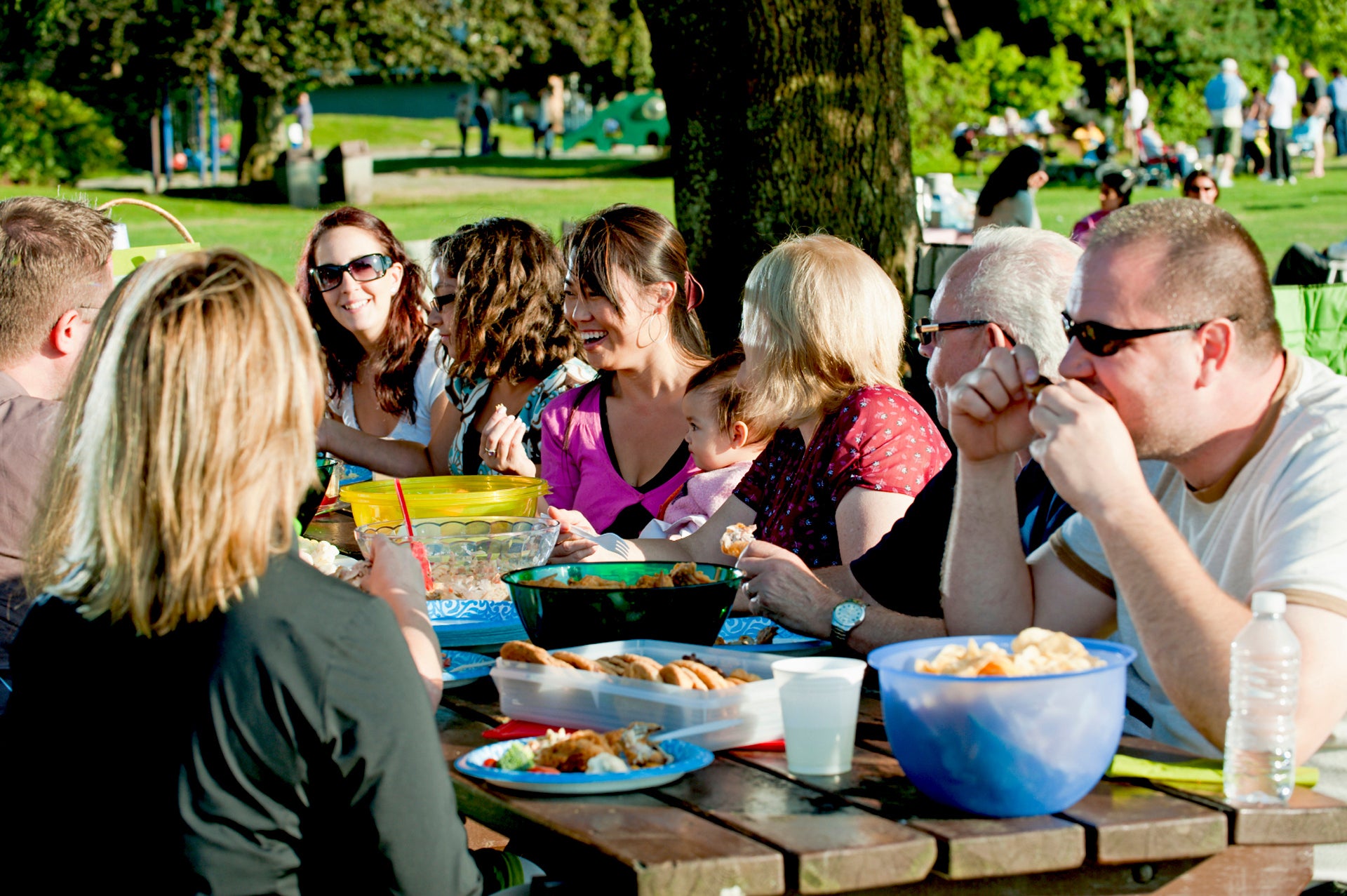 Family Picnic Outdoors