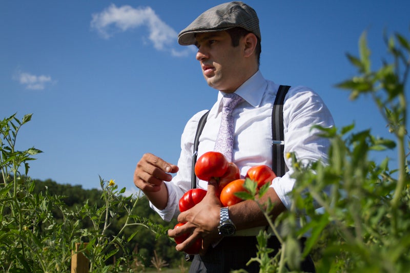 Robby Younes Picking Tomatoes
