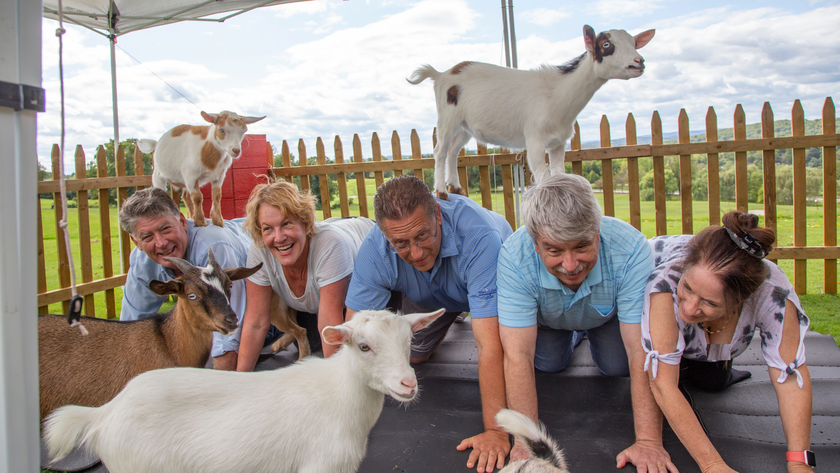 Group of adults participating in goat yoga at Crystal Springs Resort