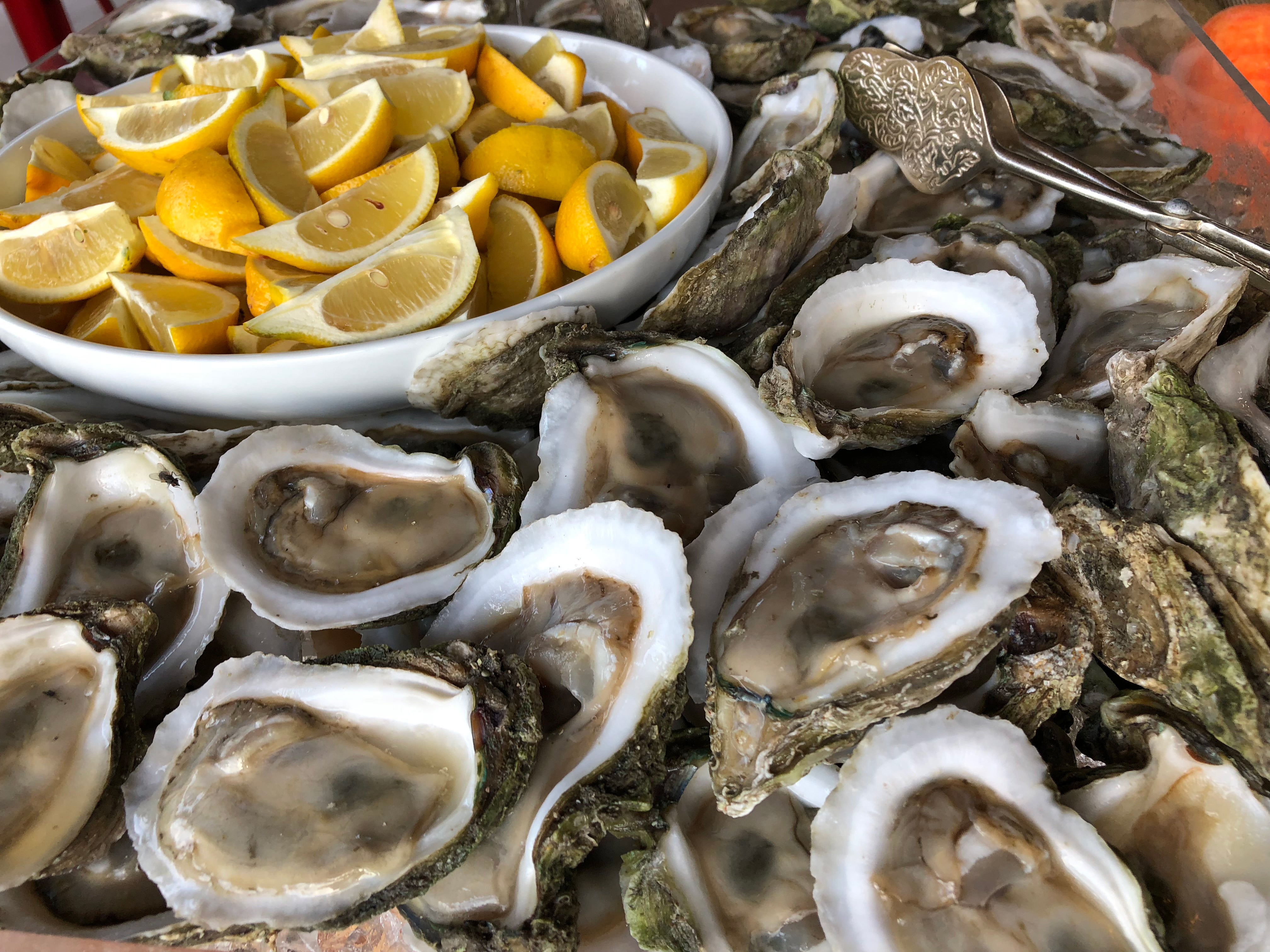 Catered Oysters