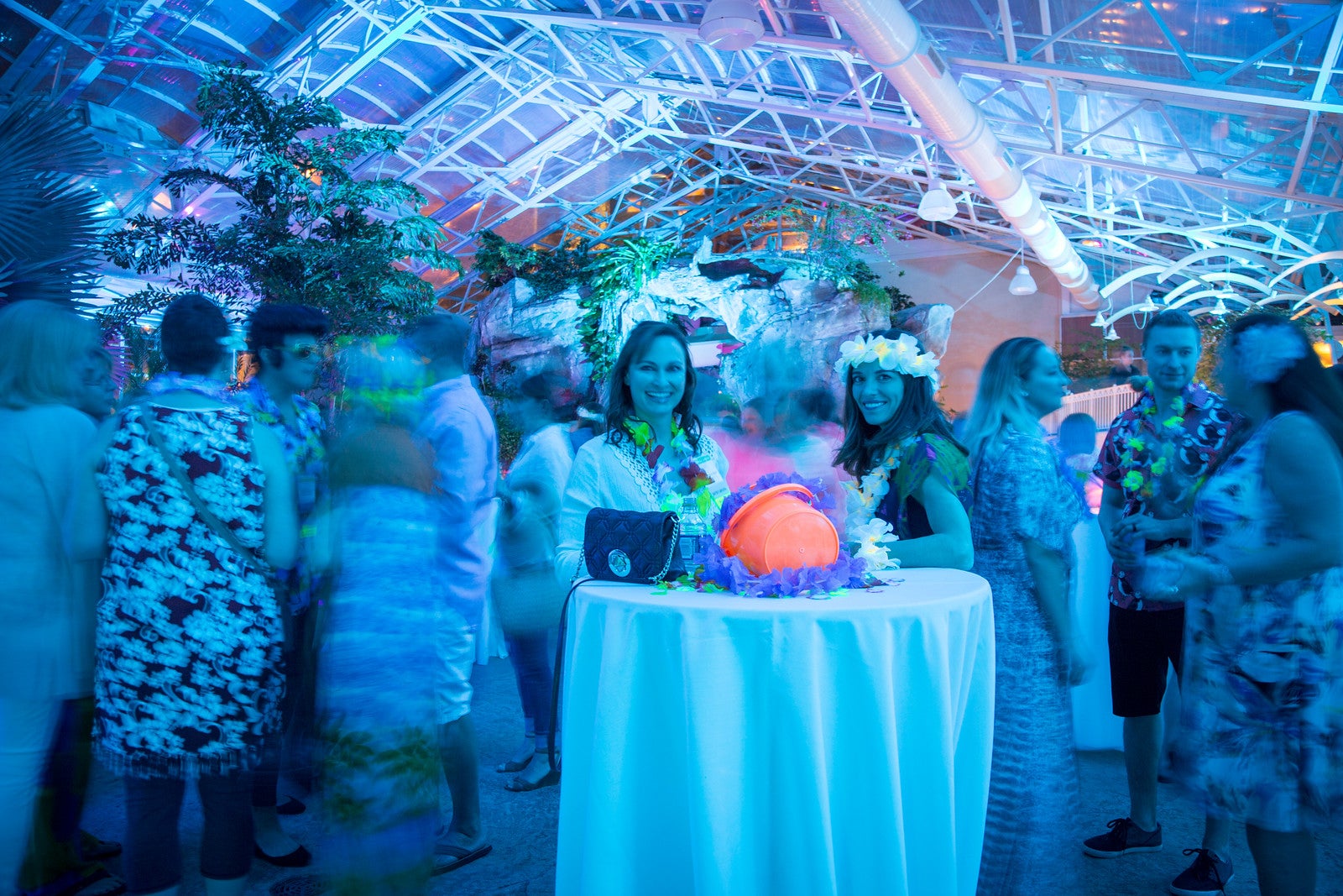 People enjoying an event at the Biosphere at Crystal Springs Resort