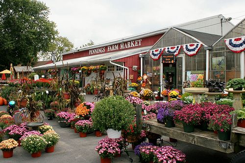 Overview of Pennings Farm Market