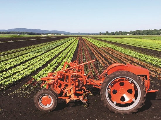 Tractor in the Fields