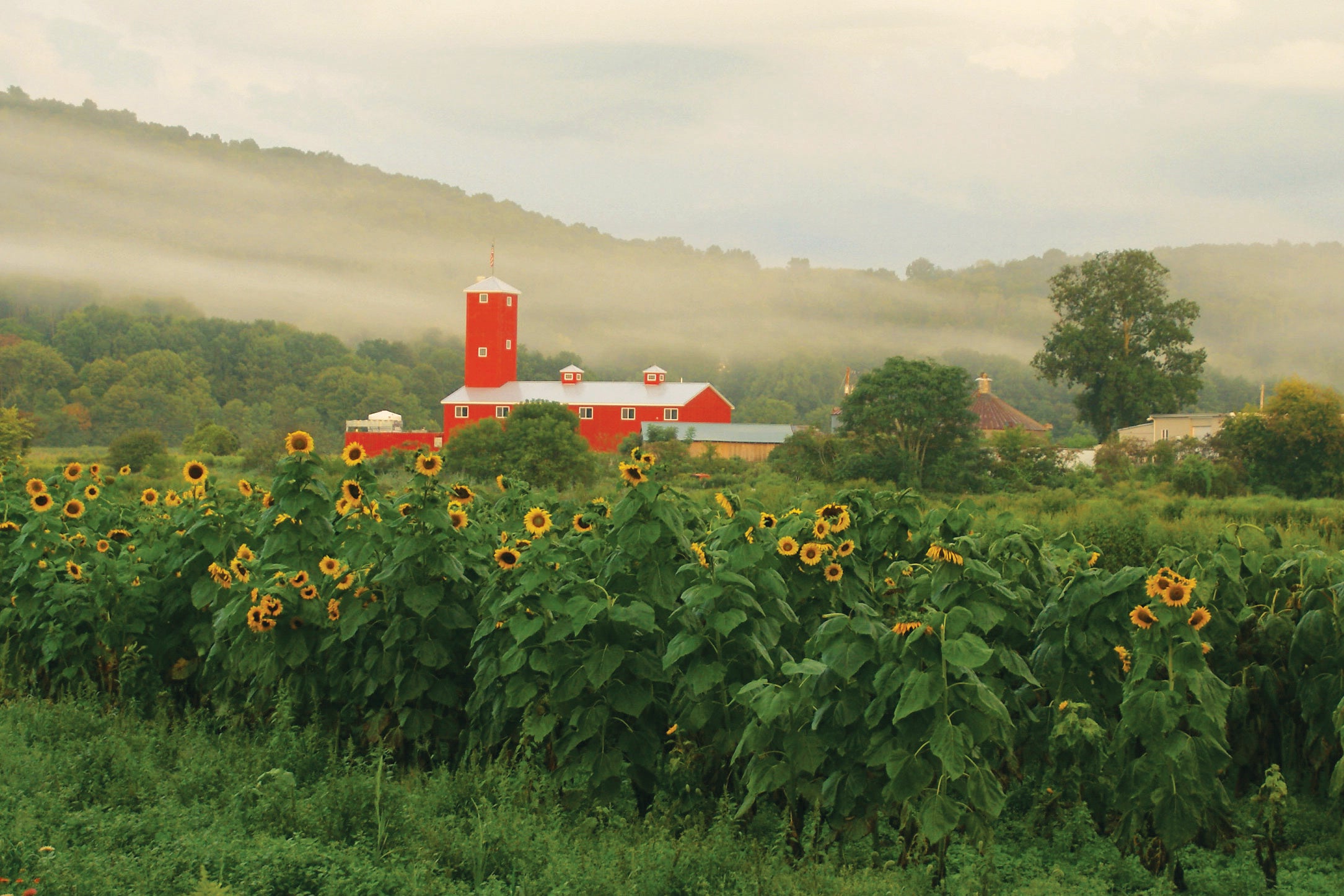 Black Dirt Distillery in the distance