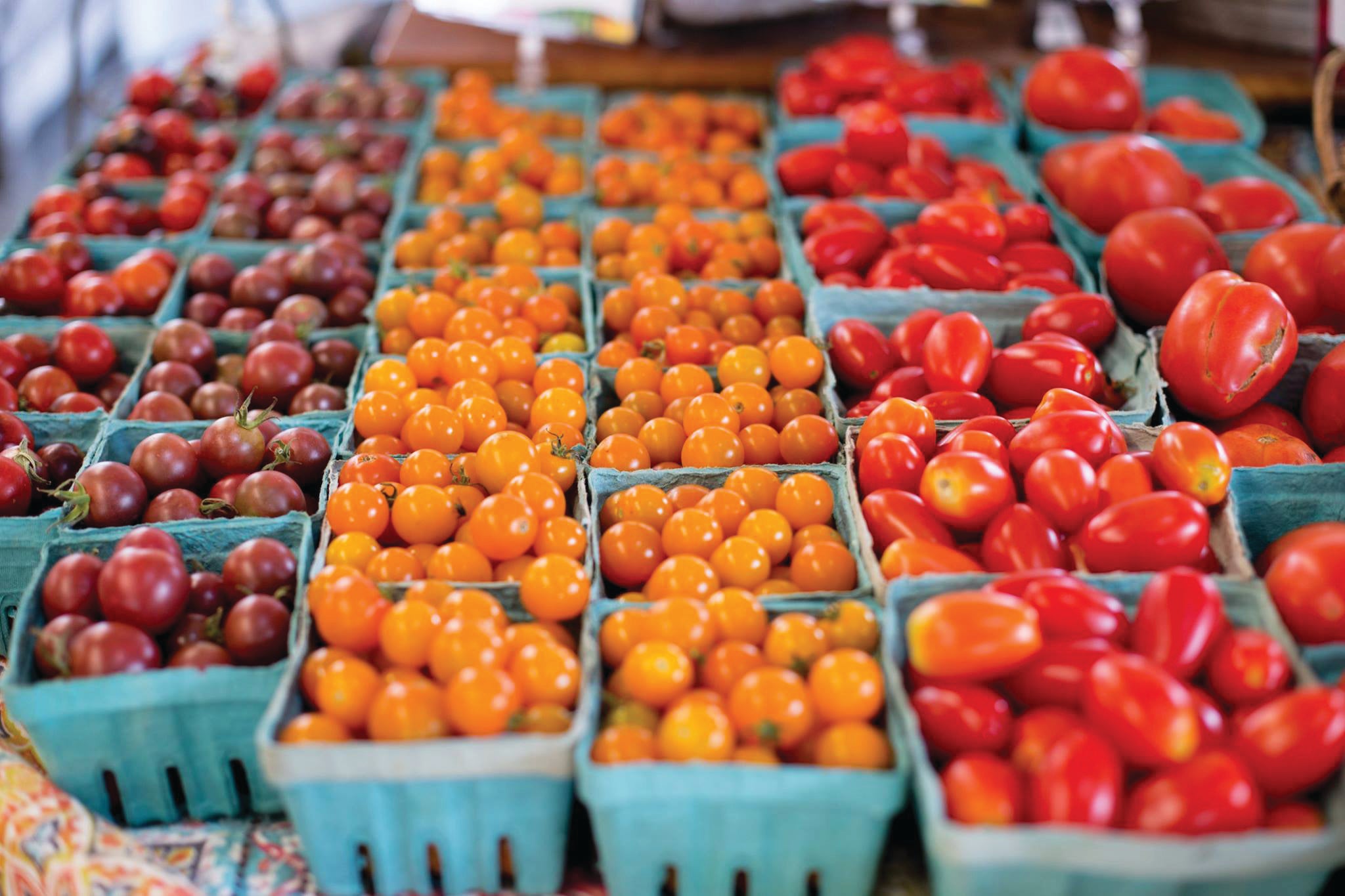 Fresh tomatoes at farmer's market