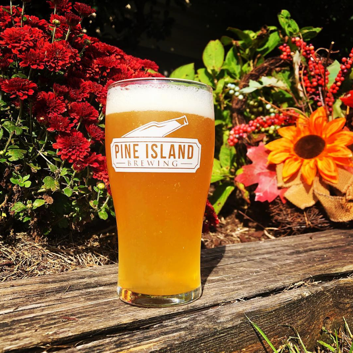 Pine Island Brewing beer