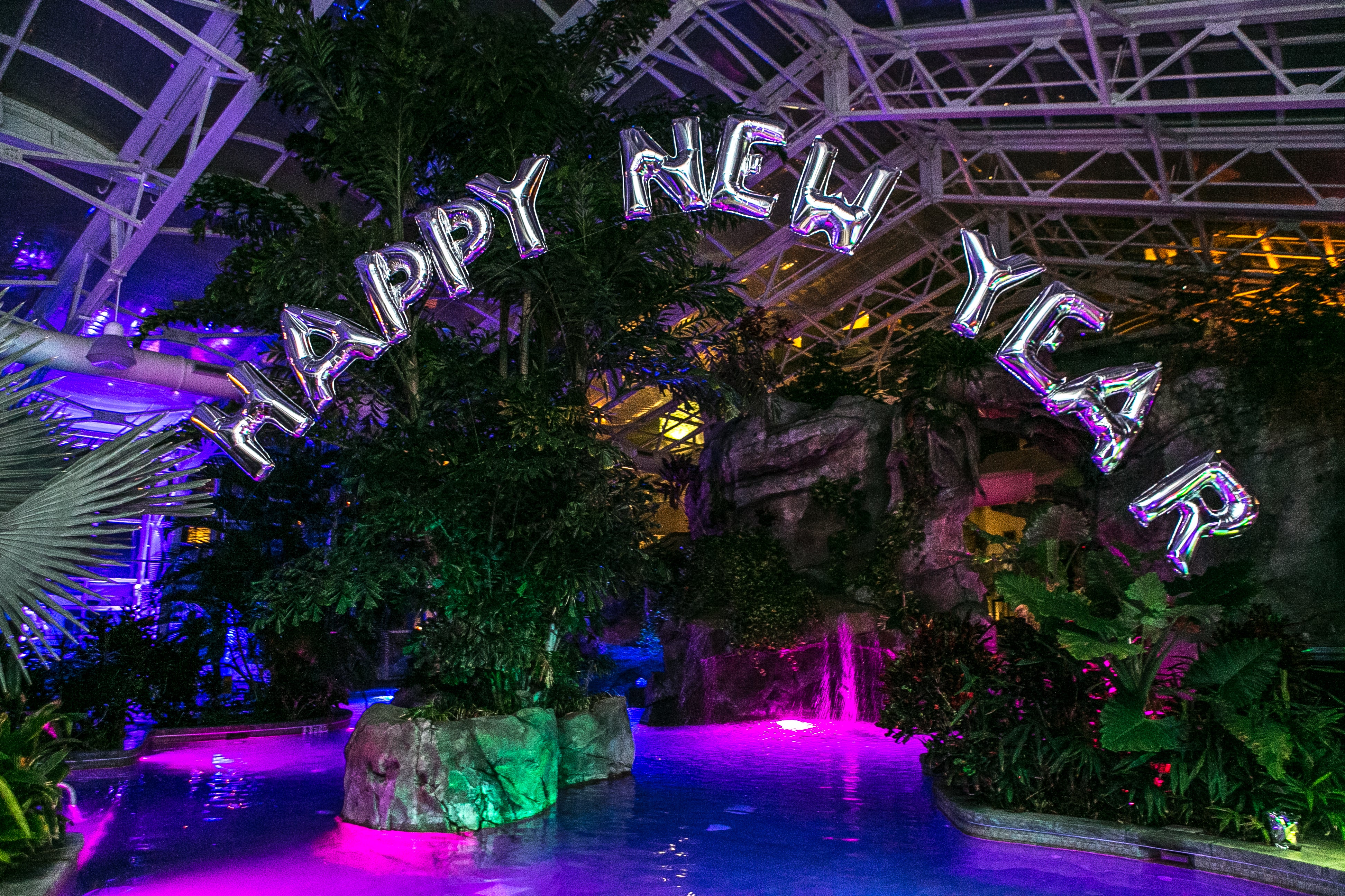 Happy New Year balloons at Biosphere