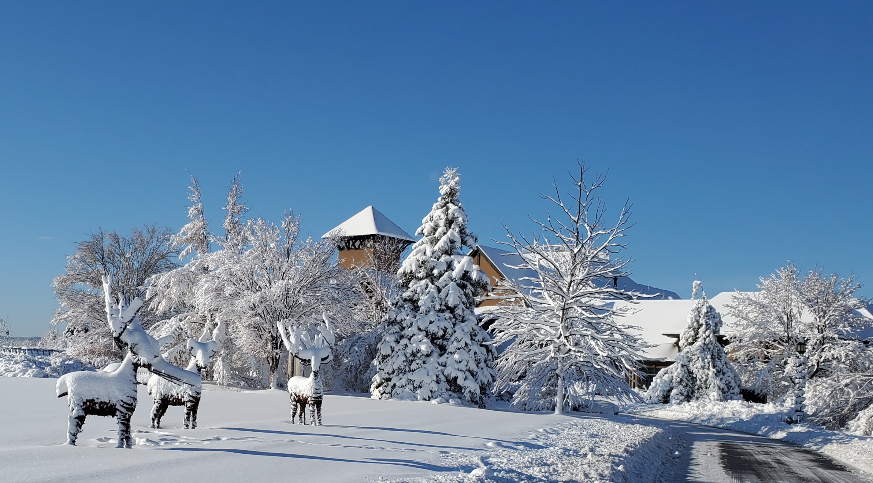 Snowy day at Crystal Springs Country Club