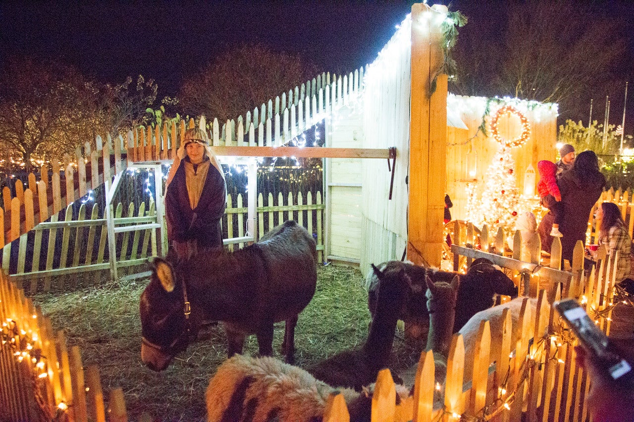 Live nativity scene.