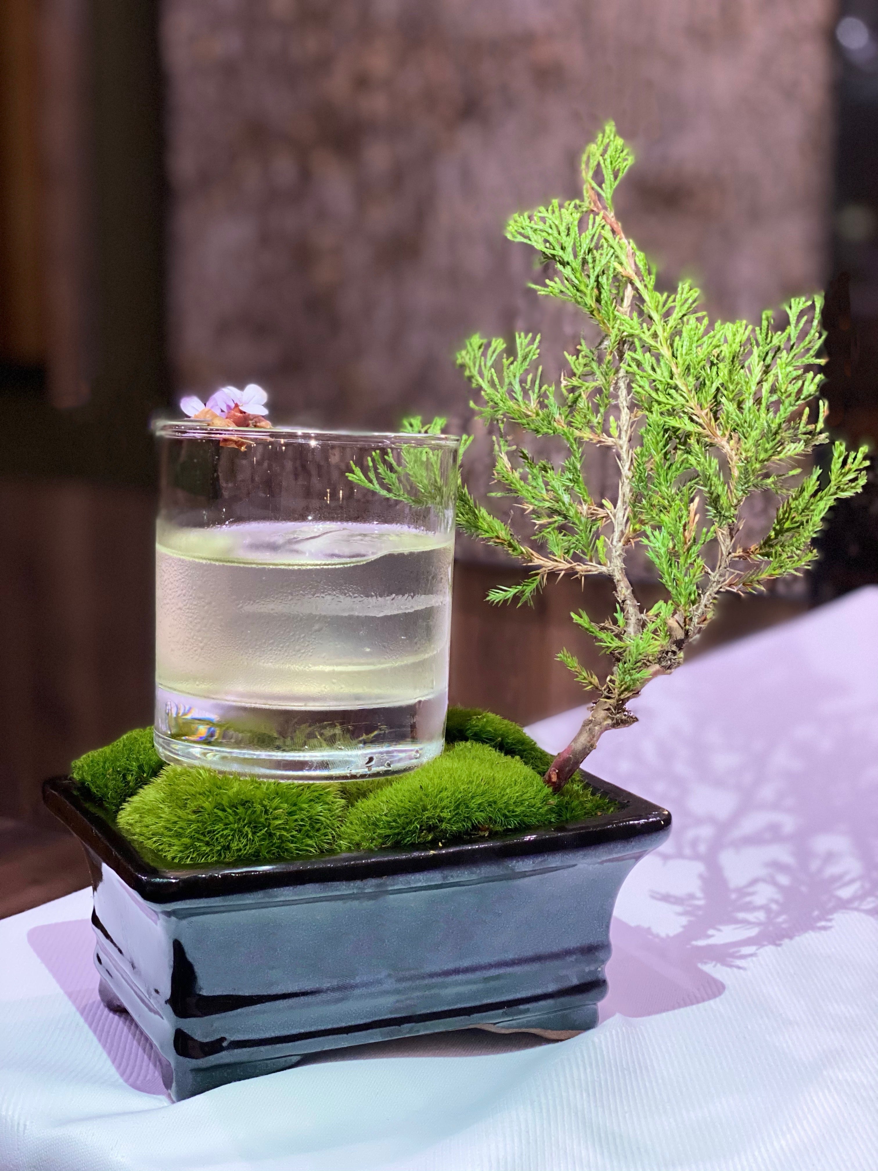 Cocktail in short round glass on top grass plate.
