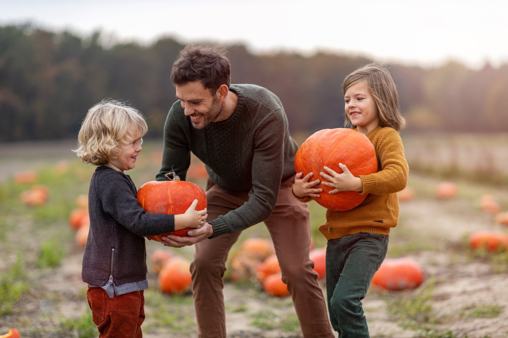 Two young children holding pumpkins.