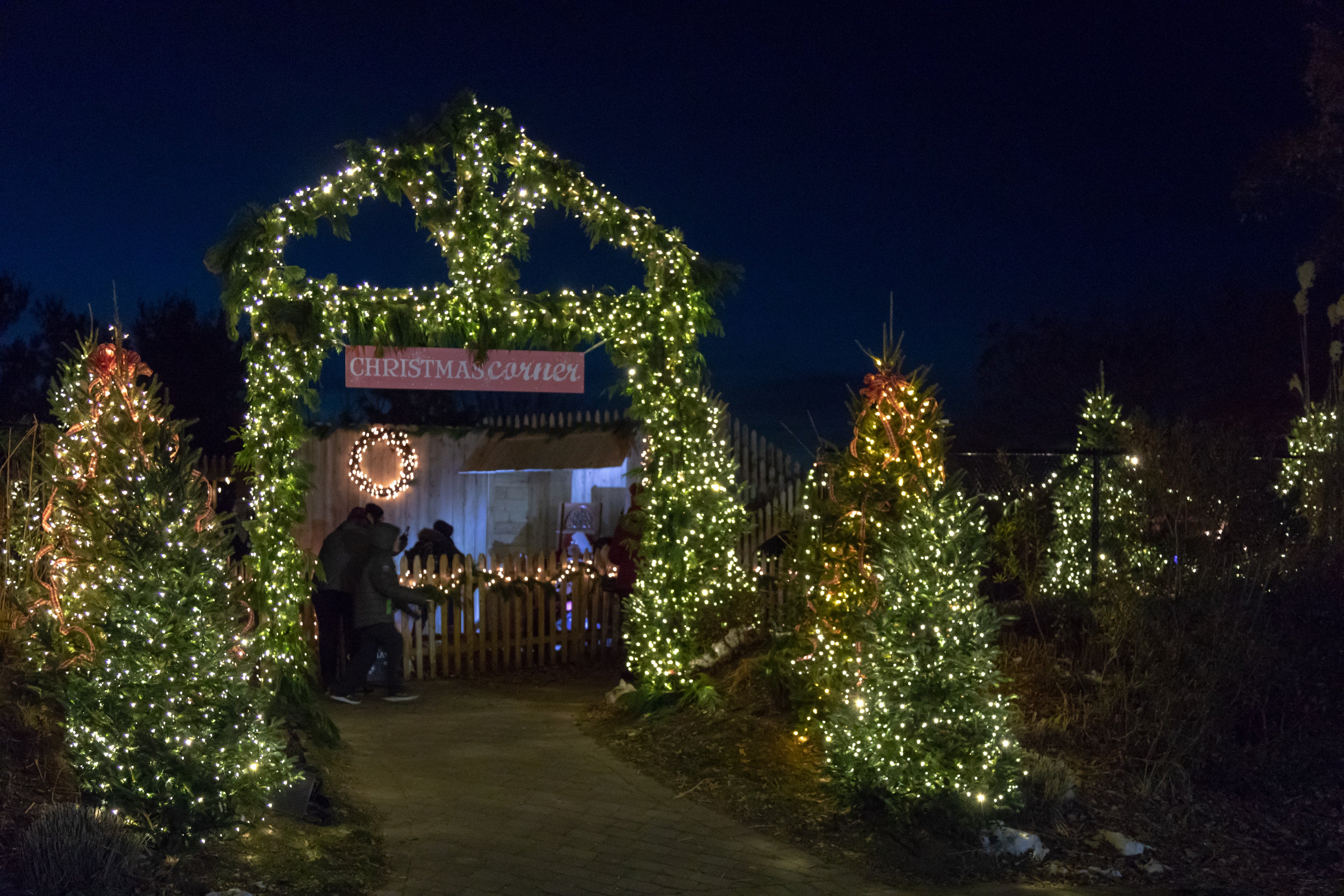 Christmas corner entrance with lights