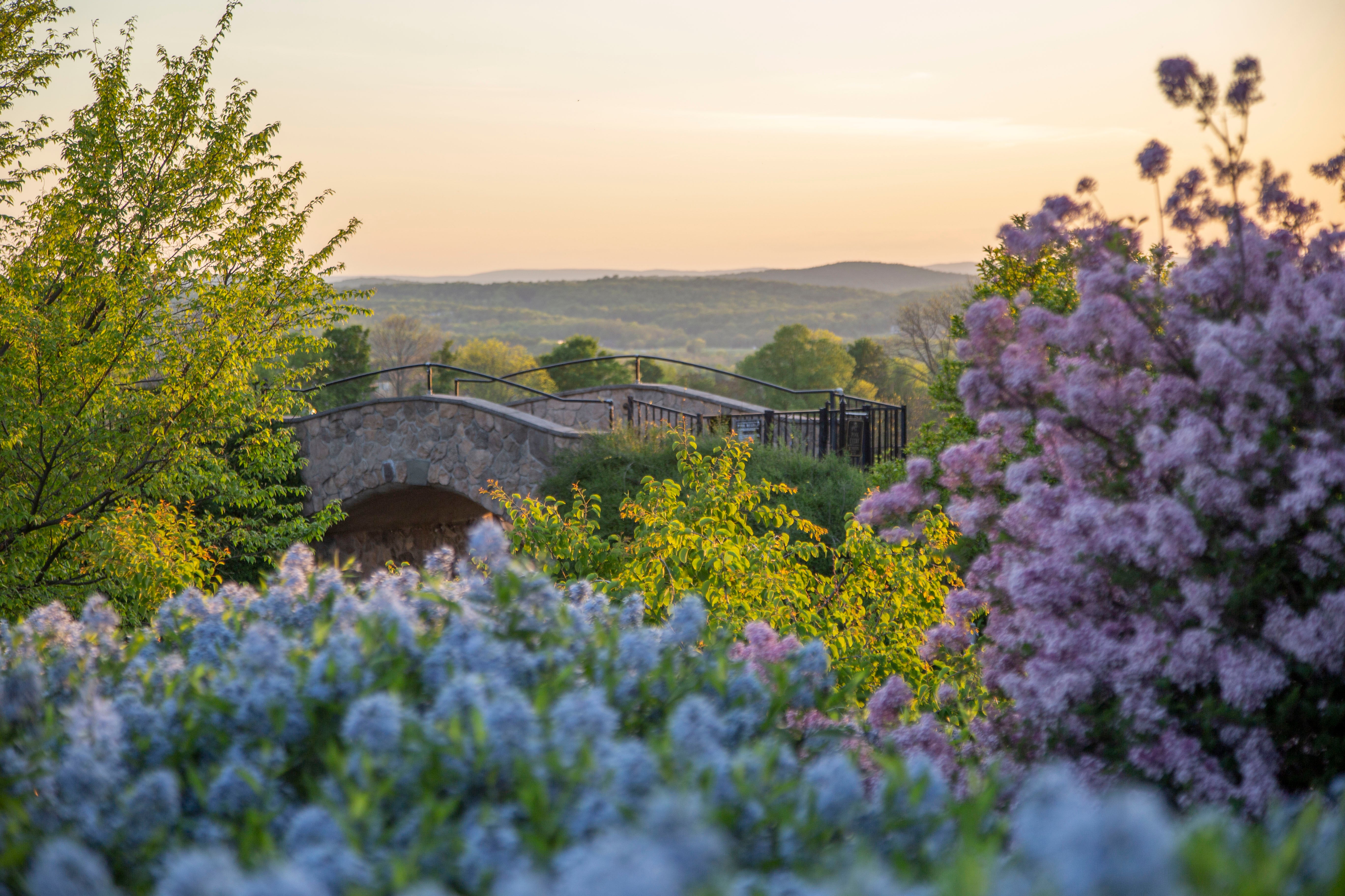 Bridge to Vista 180 at sunset