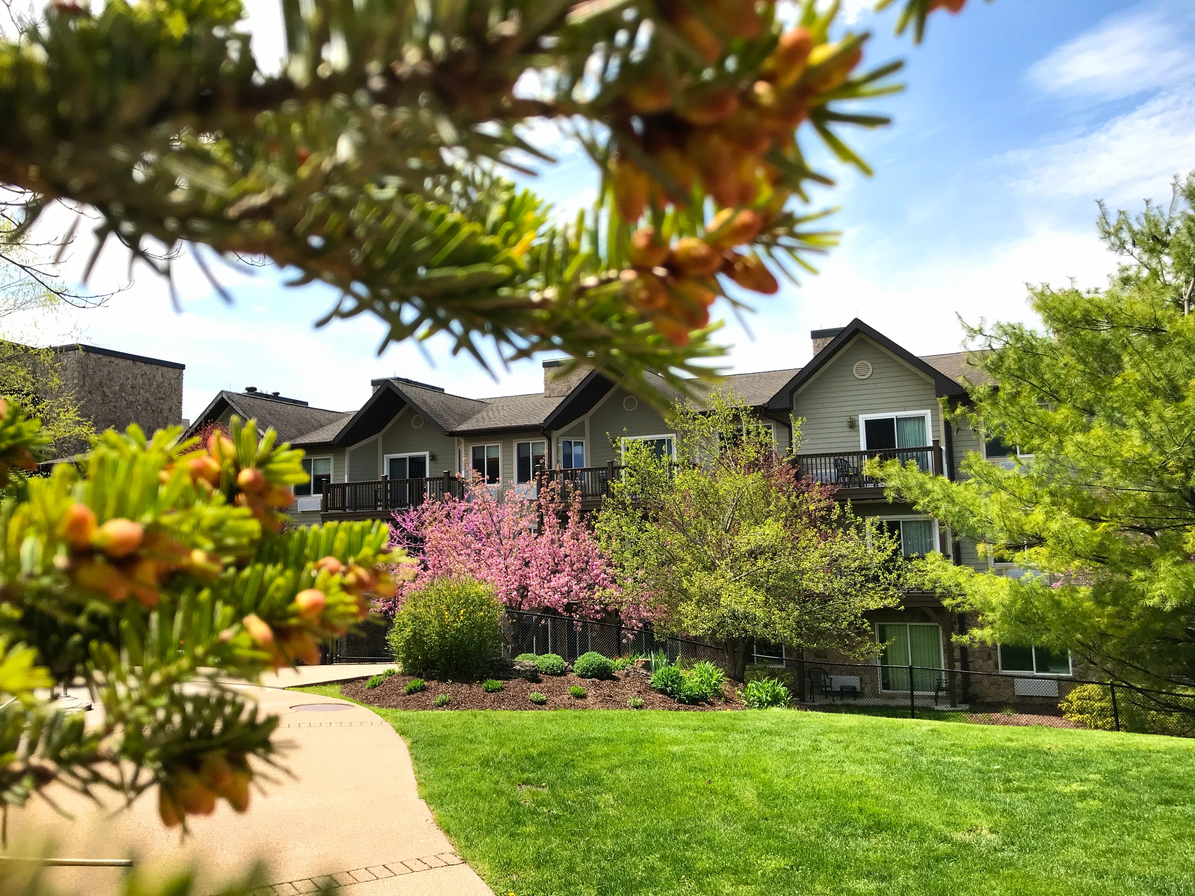 Exterior view of Minerals Hotel