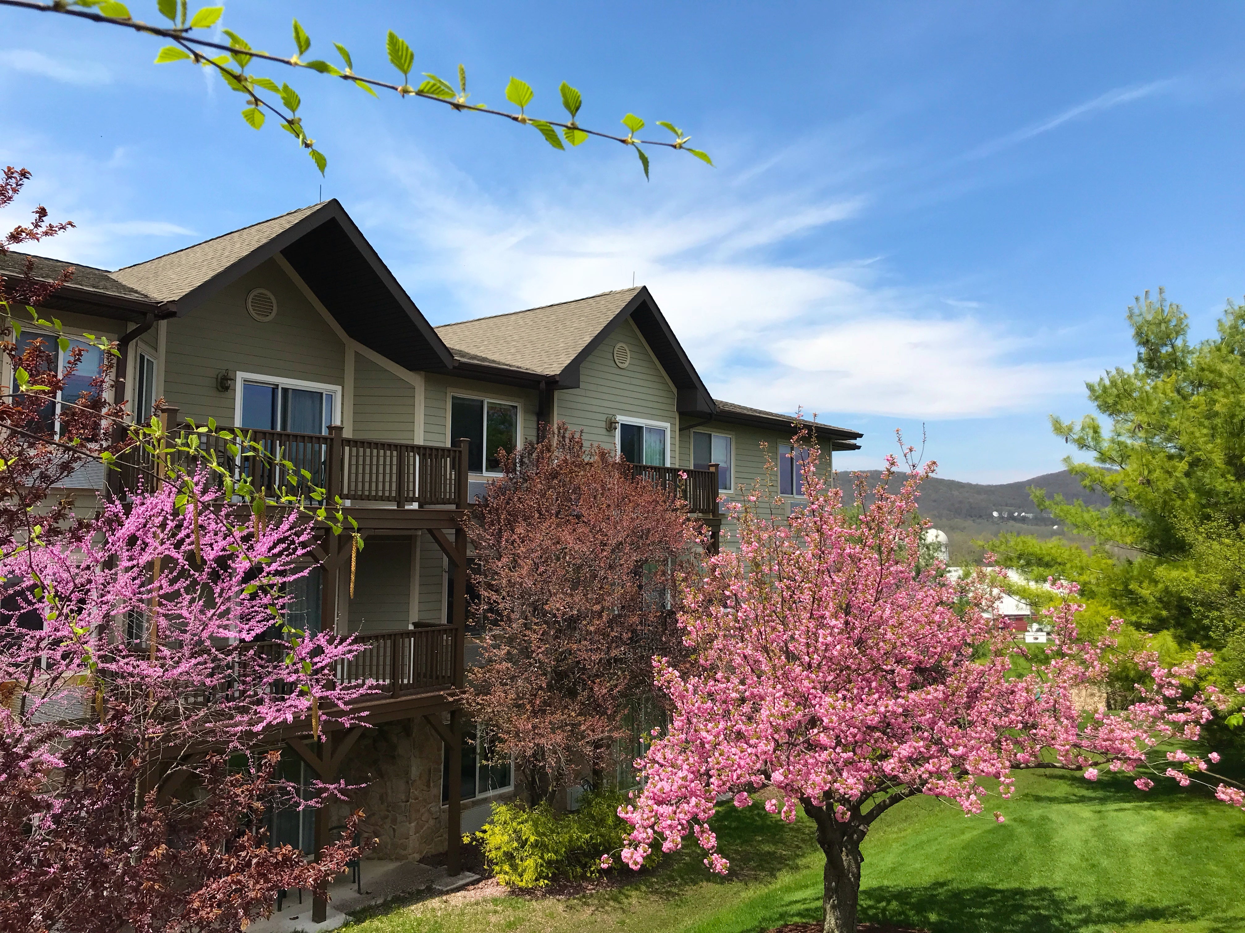 Exterior view of Minerals Hotel