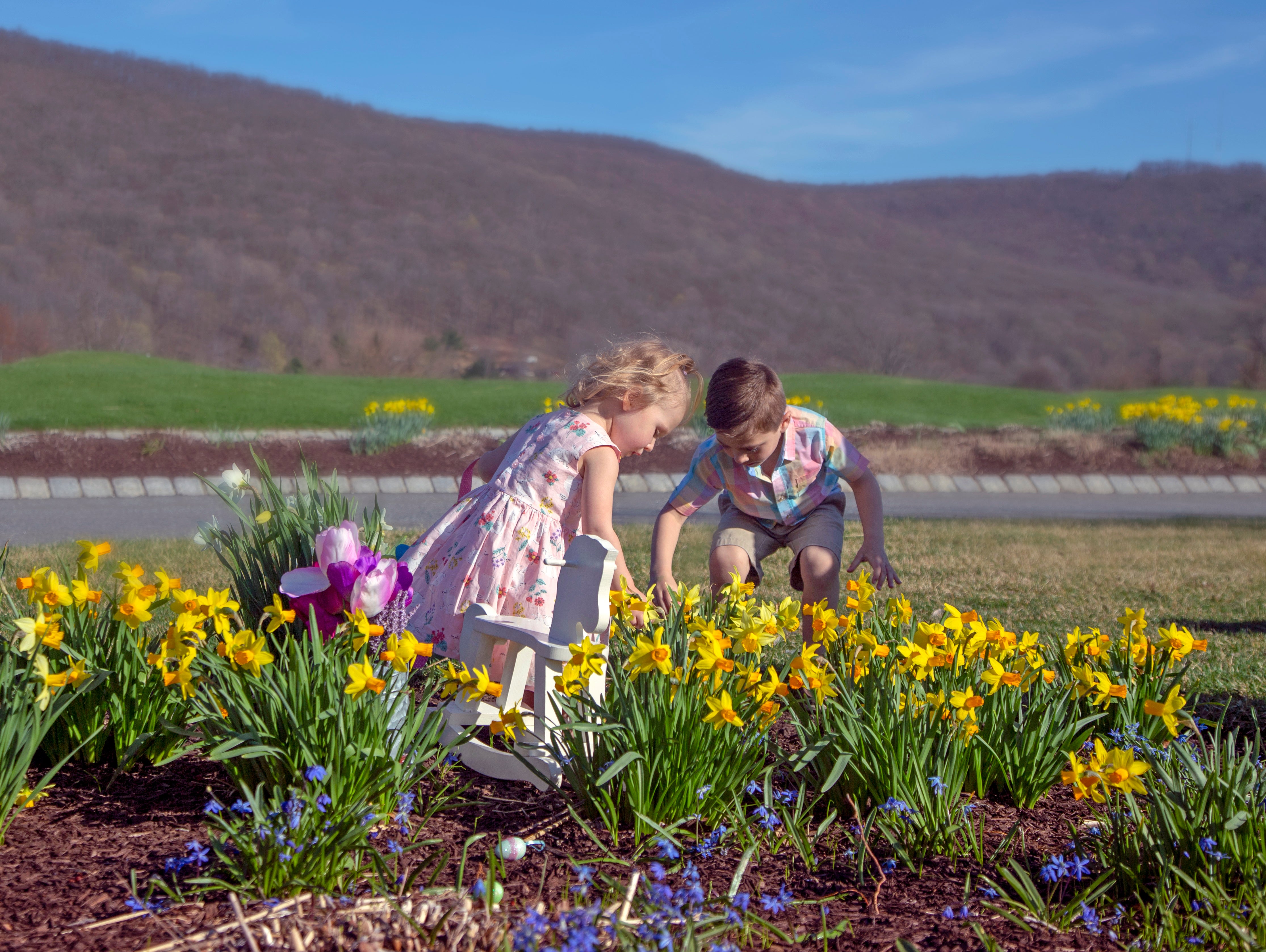 Two children playing in tulip garden.