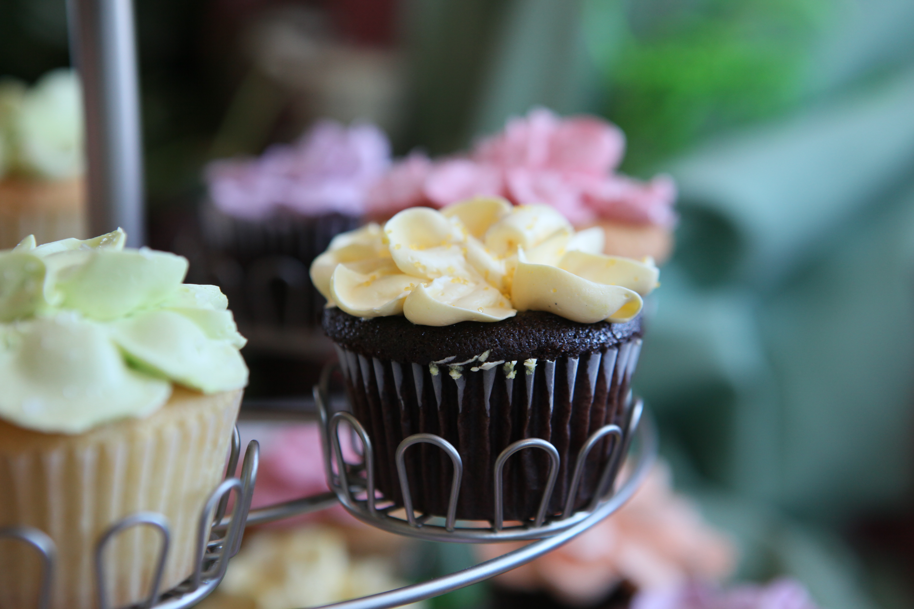 Chocolate cupcake with orange icing. 